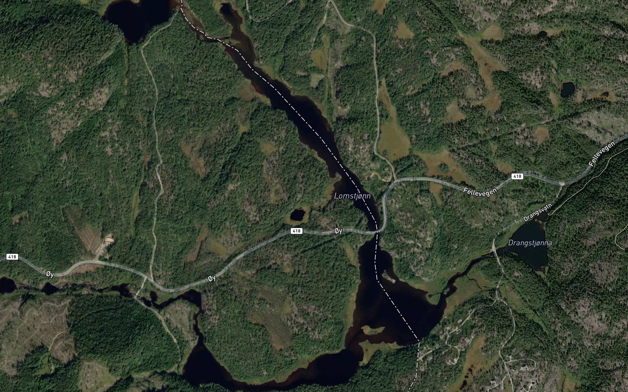 Lomstjorn
