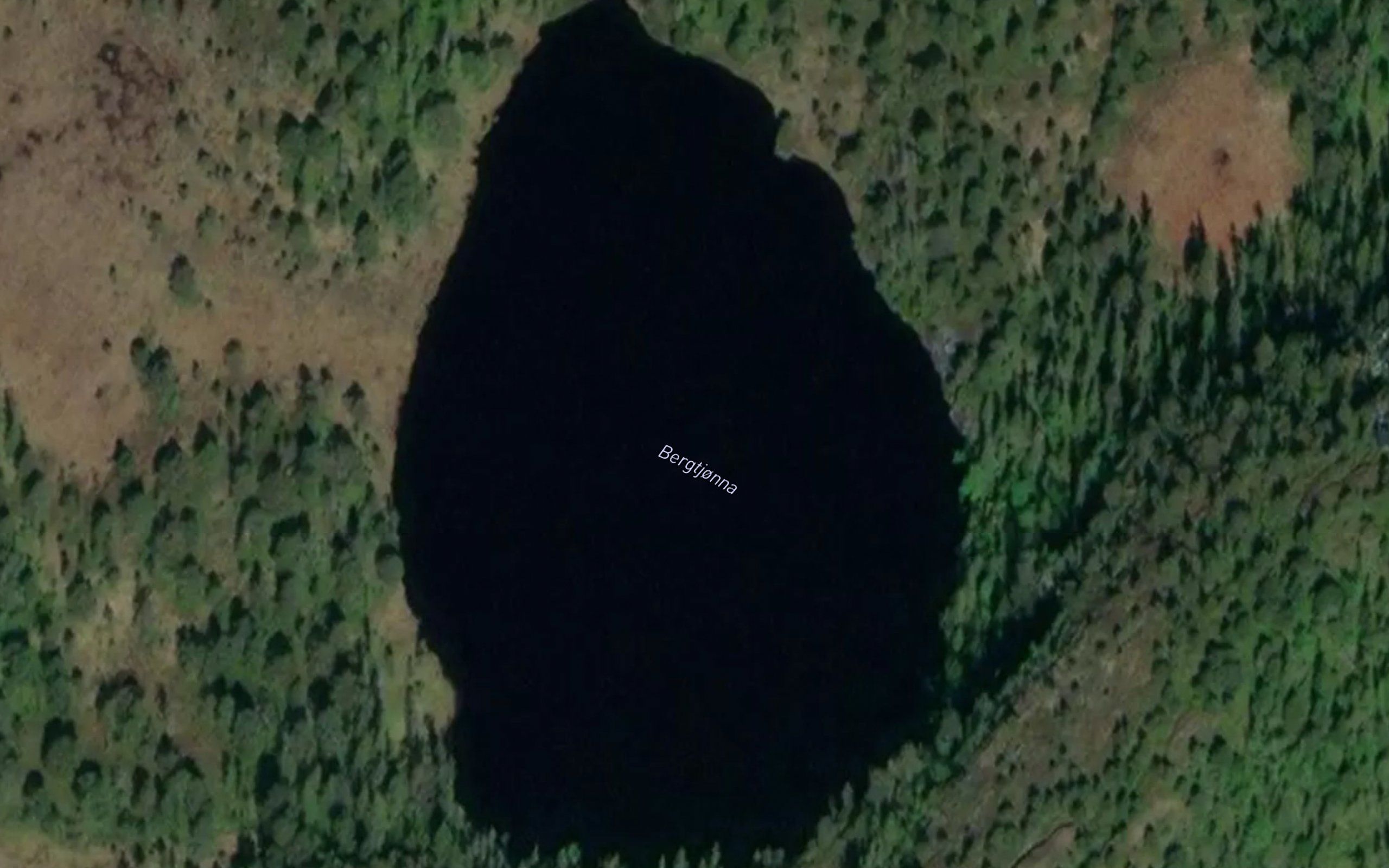 Bergtjorna