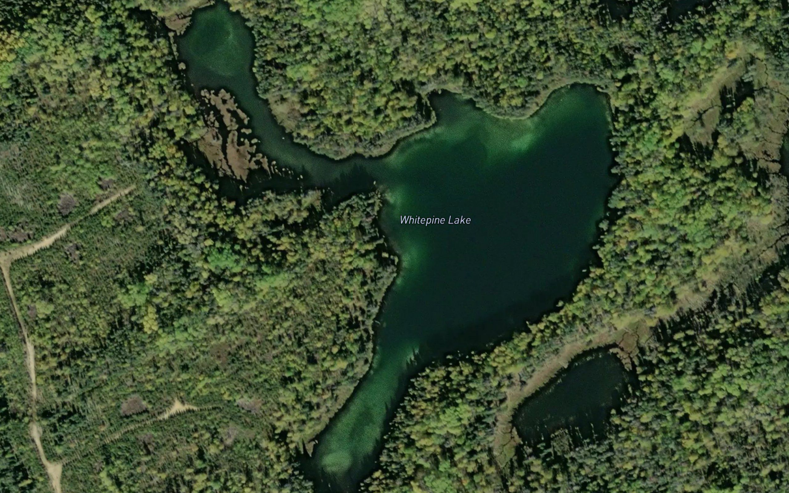 Whitepine Lake