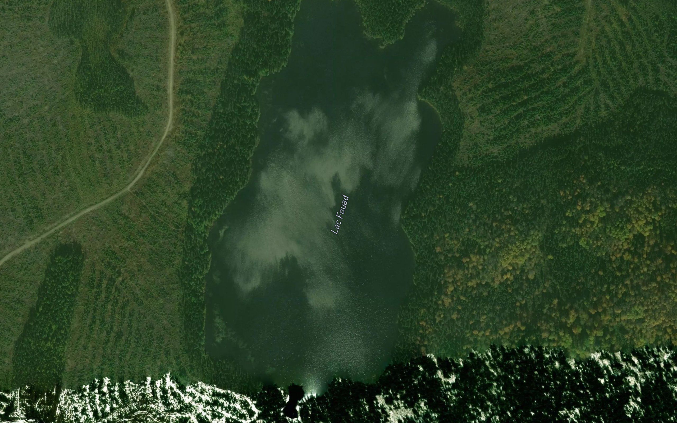 Lac Fouad