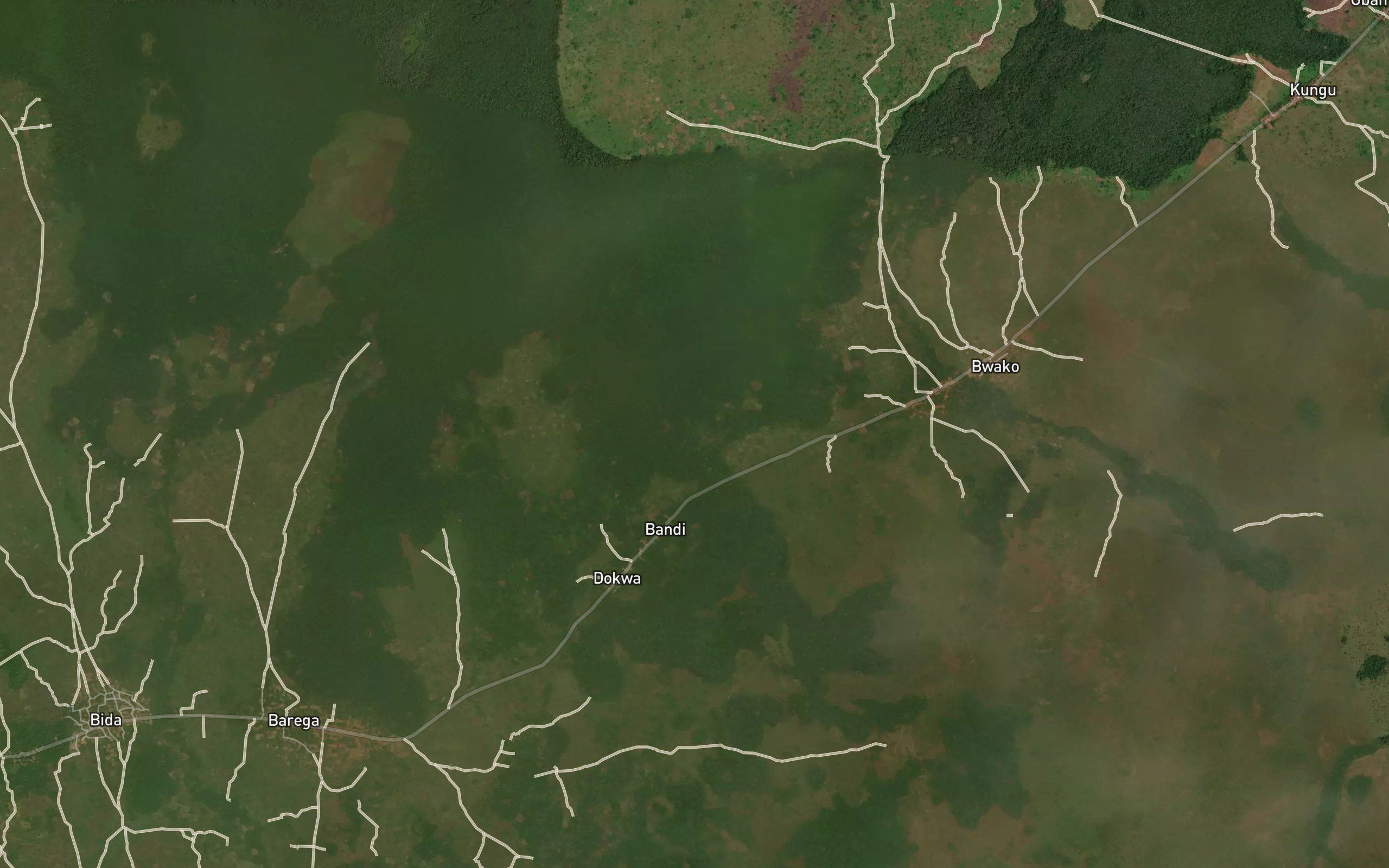 Bitungu
