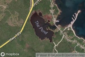 The Pond