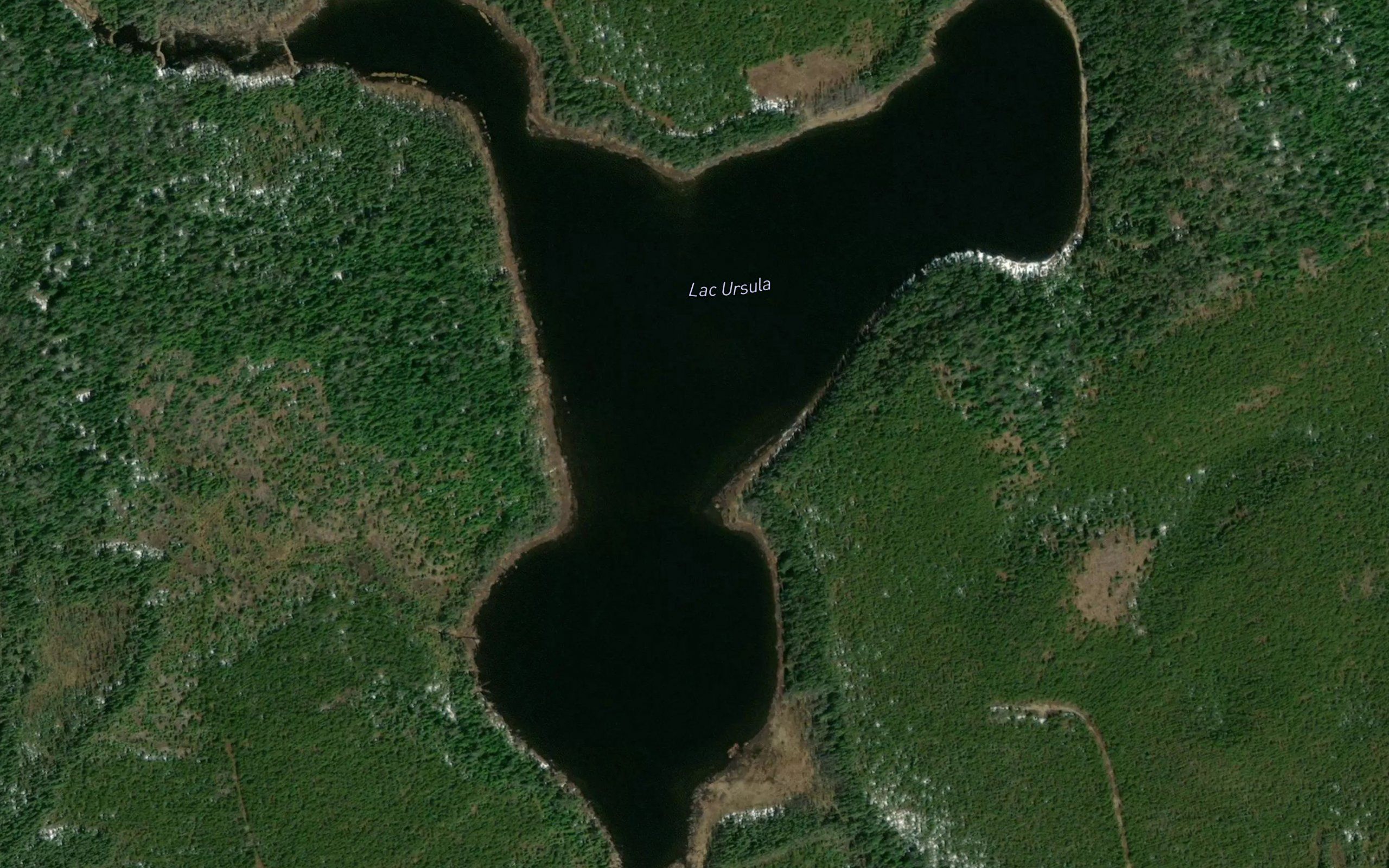 Lac Ursula