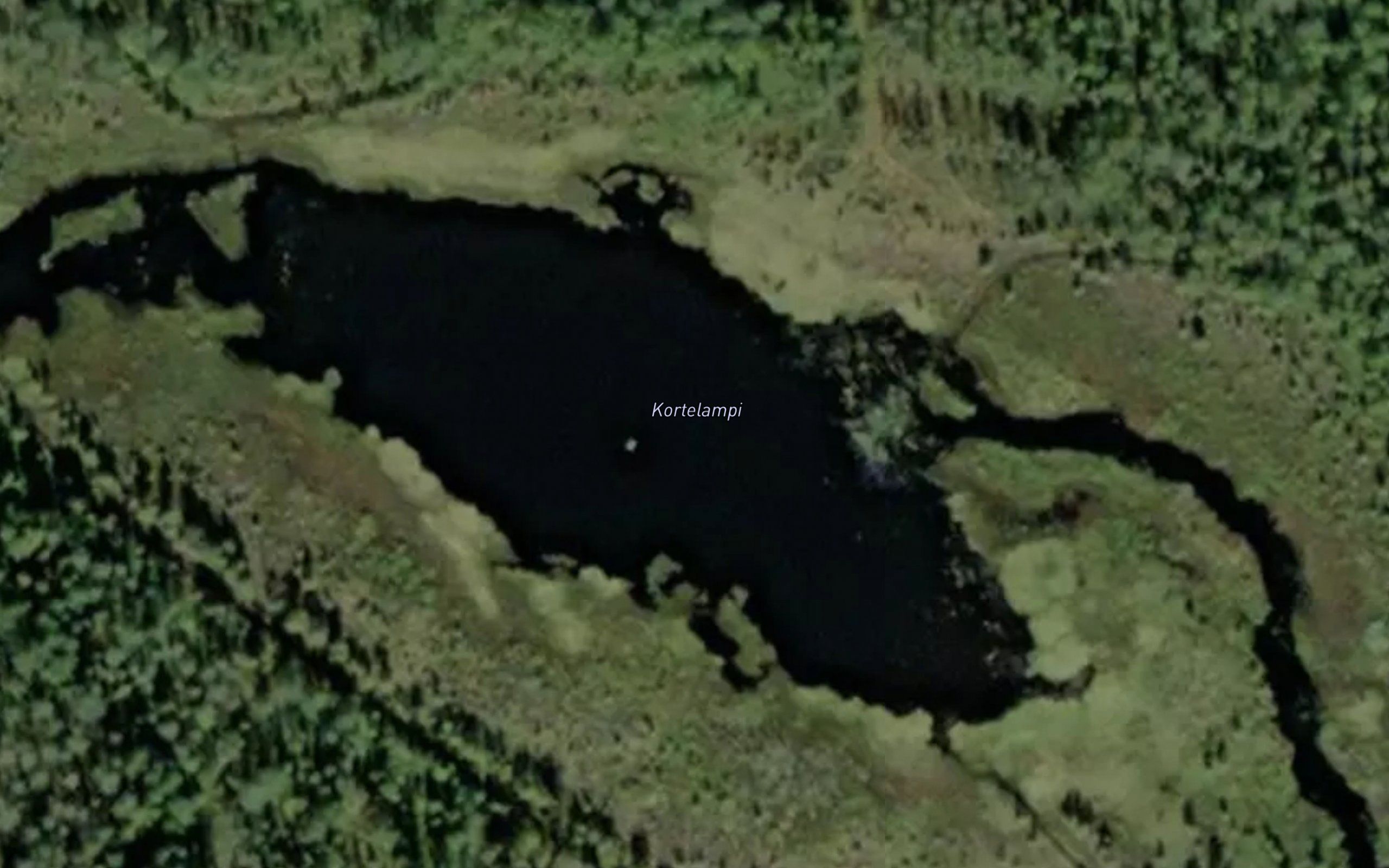 Kortelampi