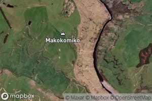 Makokomiko East Stream