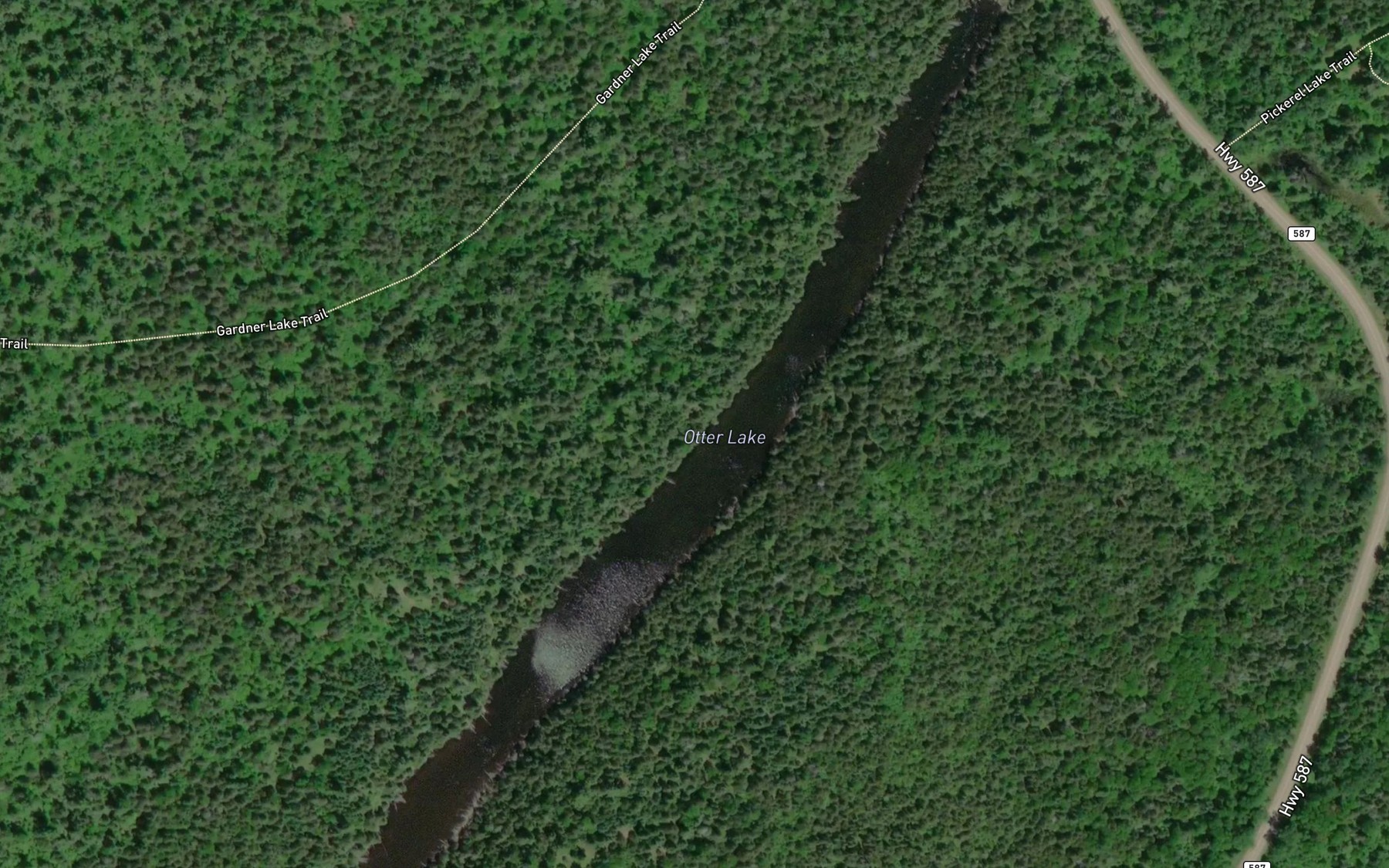 Satellite map of the Otter Lake