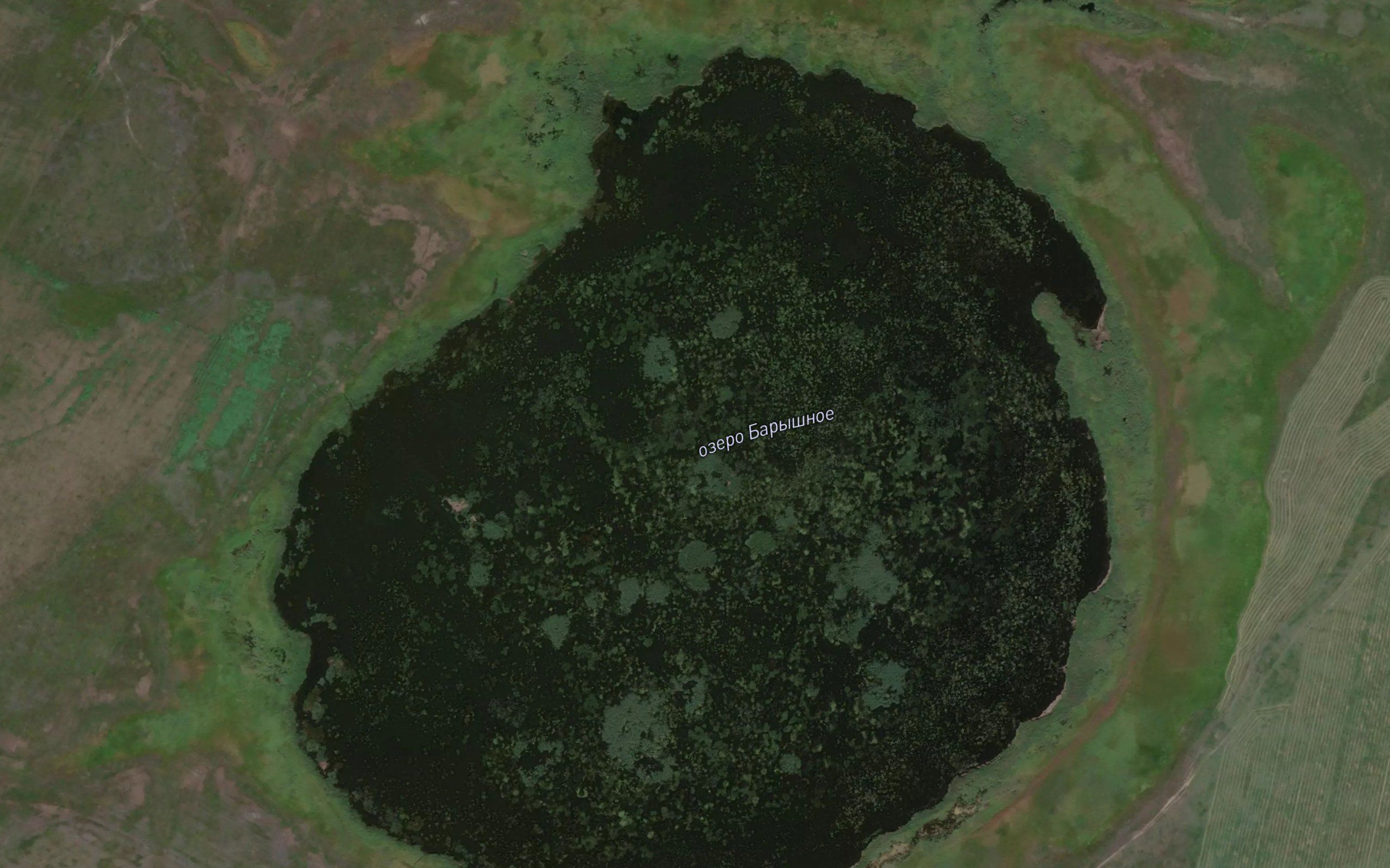 Ozero Baryshnoye