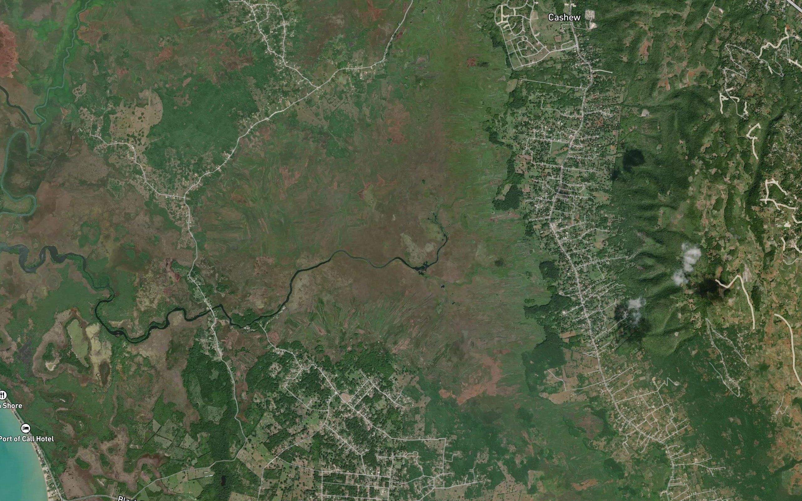 Cashew River