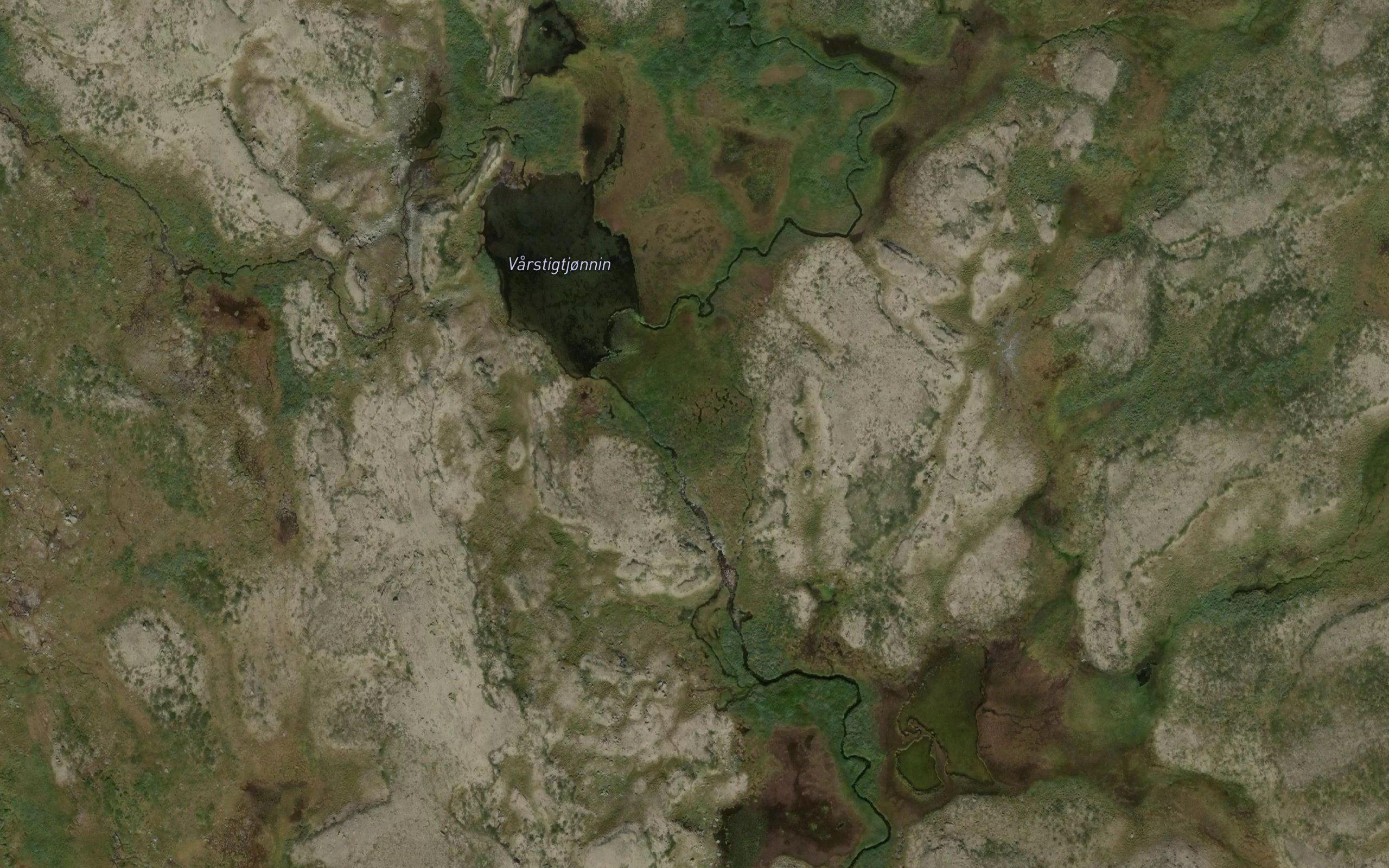 Varstigtjornin
