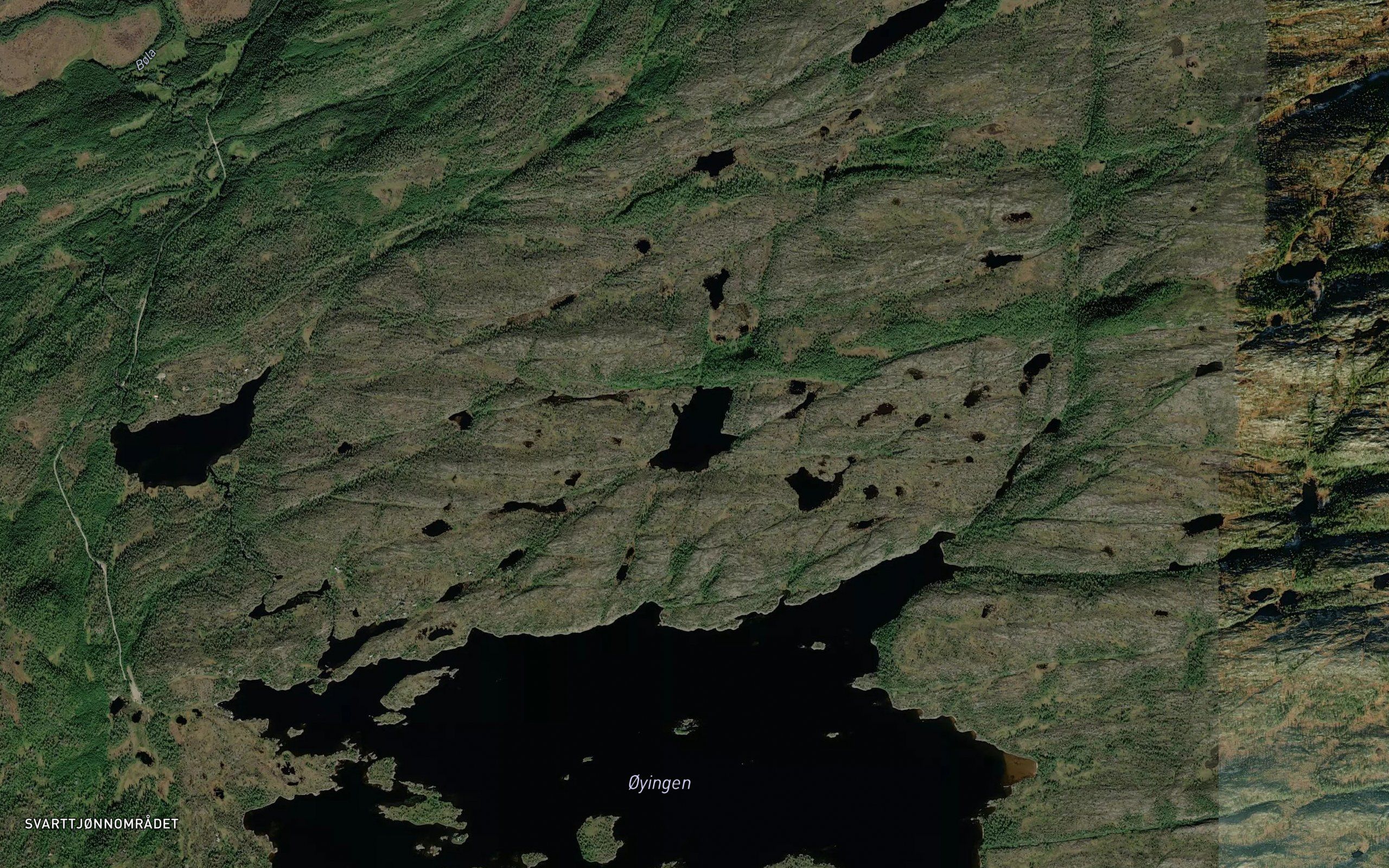 Godtjornin