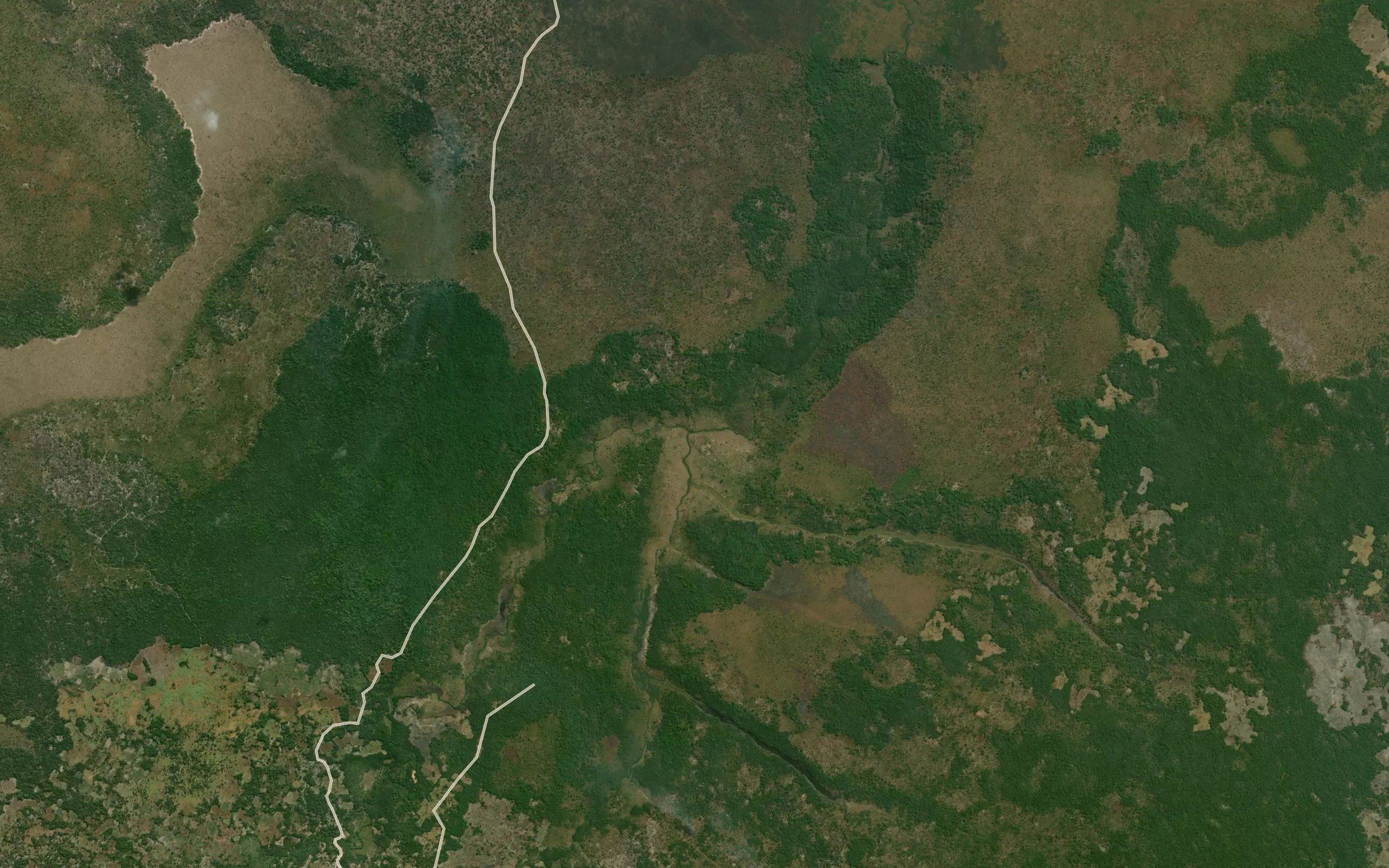 Ngua