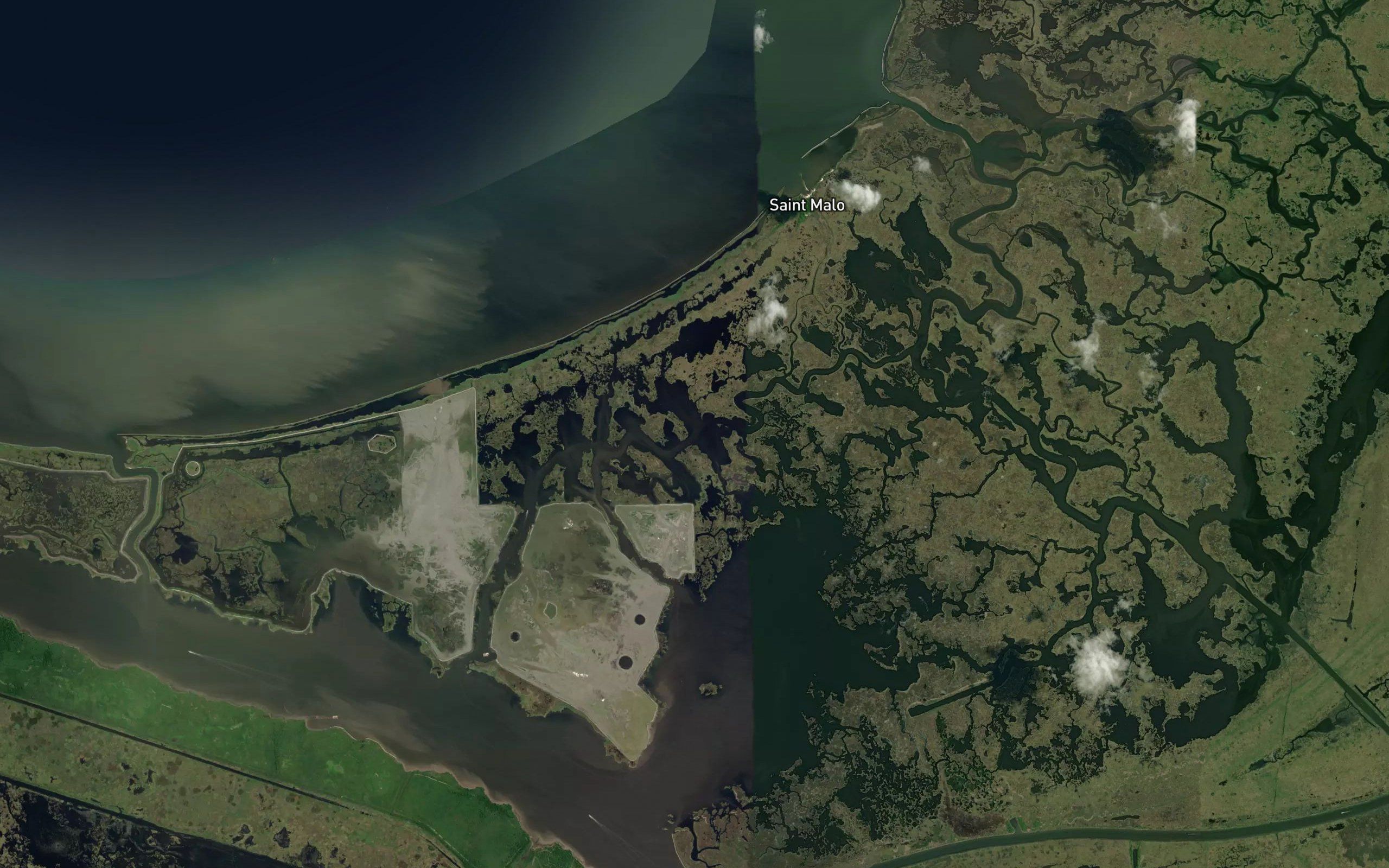 Bayou Guyago