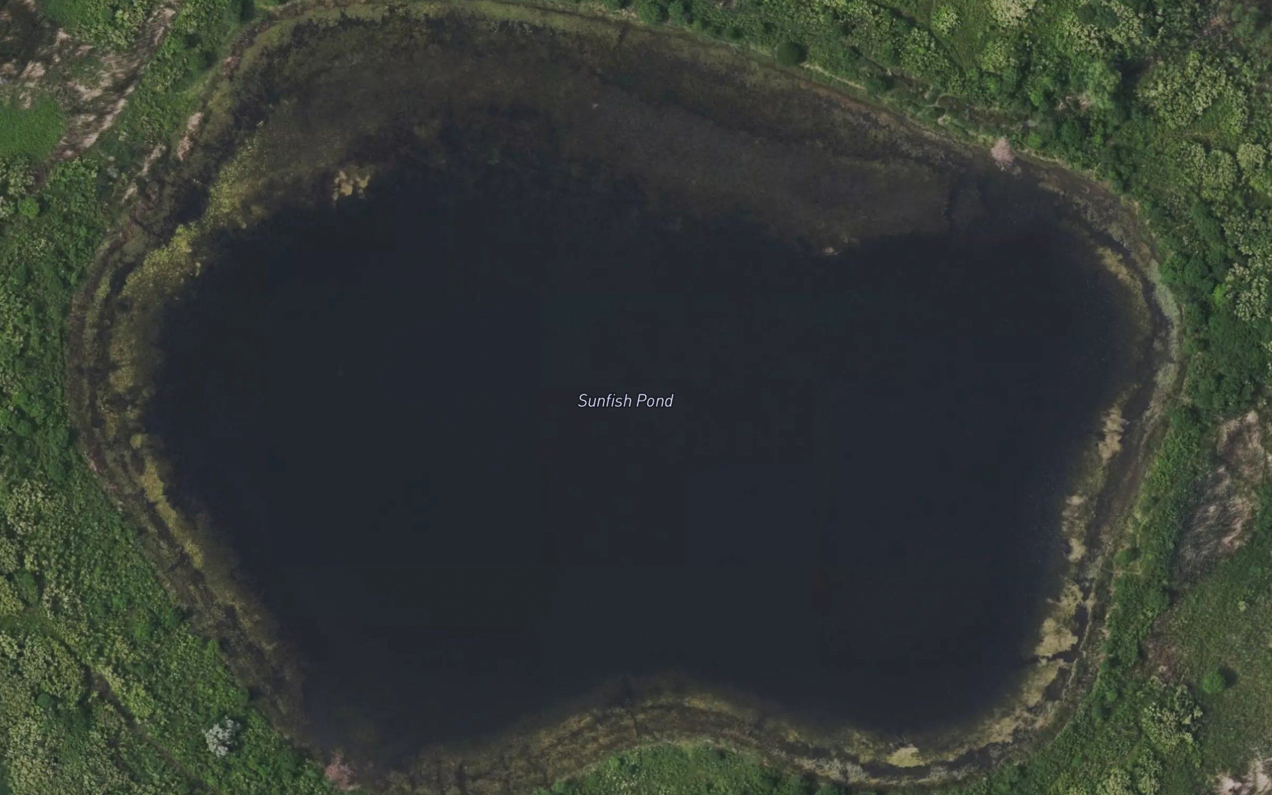 Sunfish Pond
