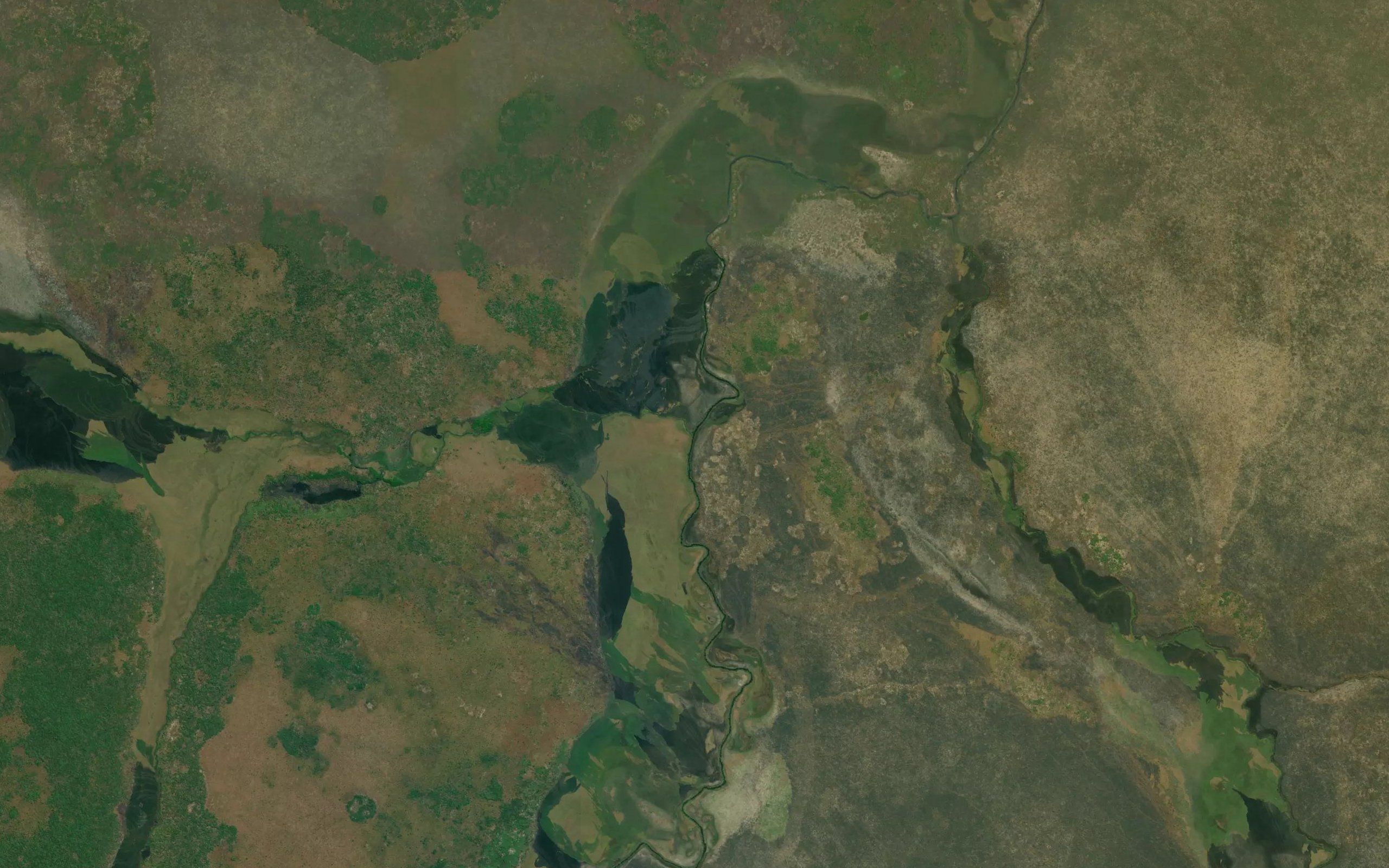 Capuluta