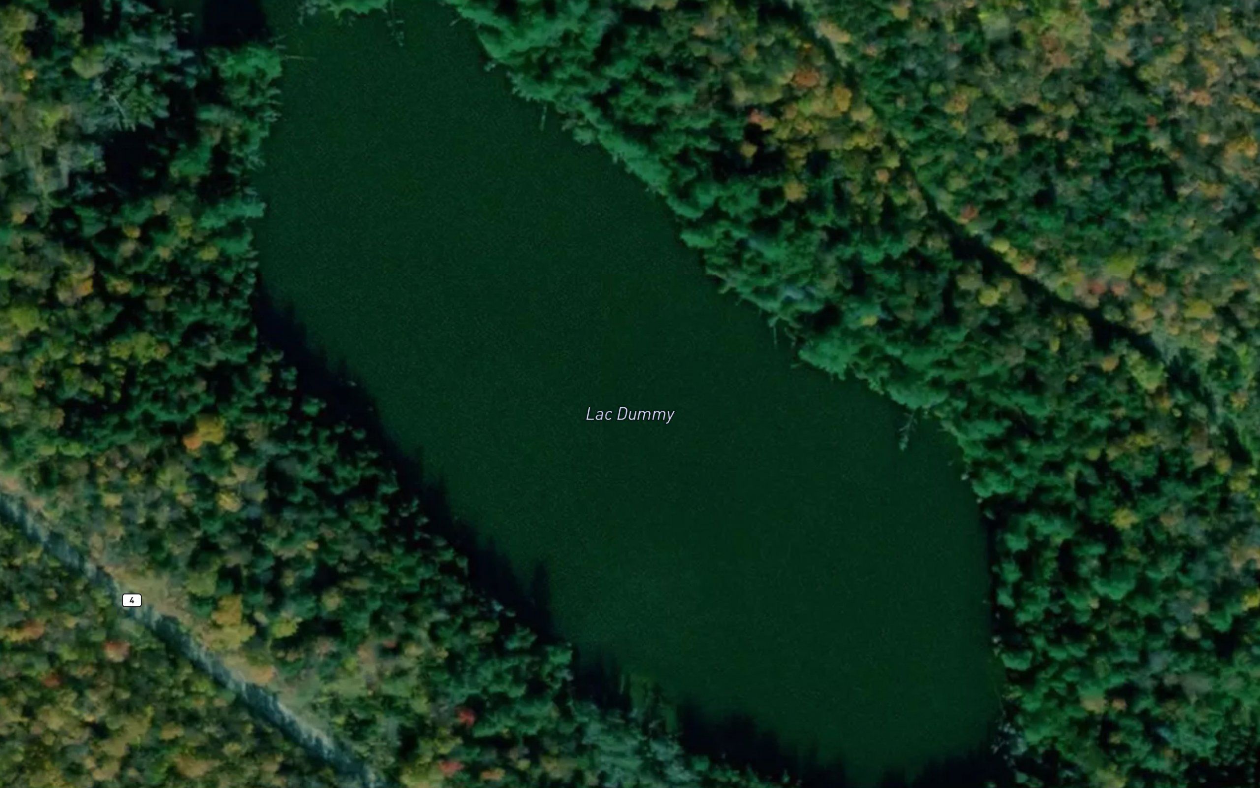 Lac Dummy