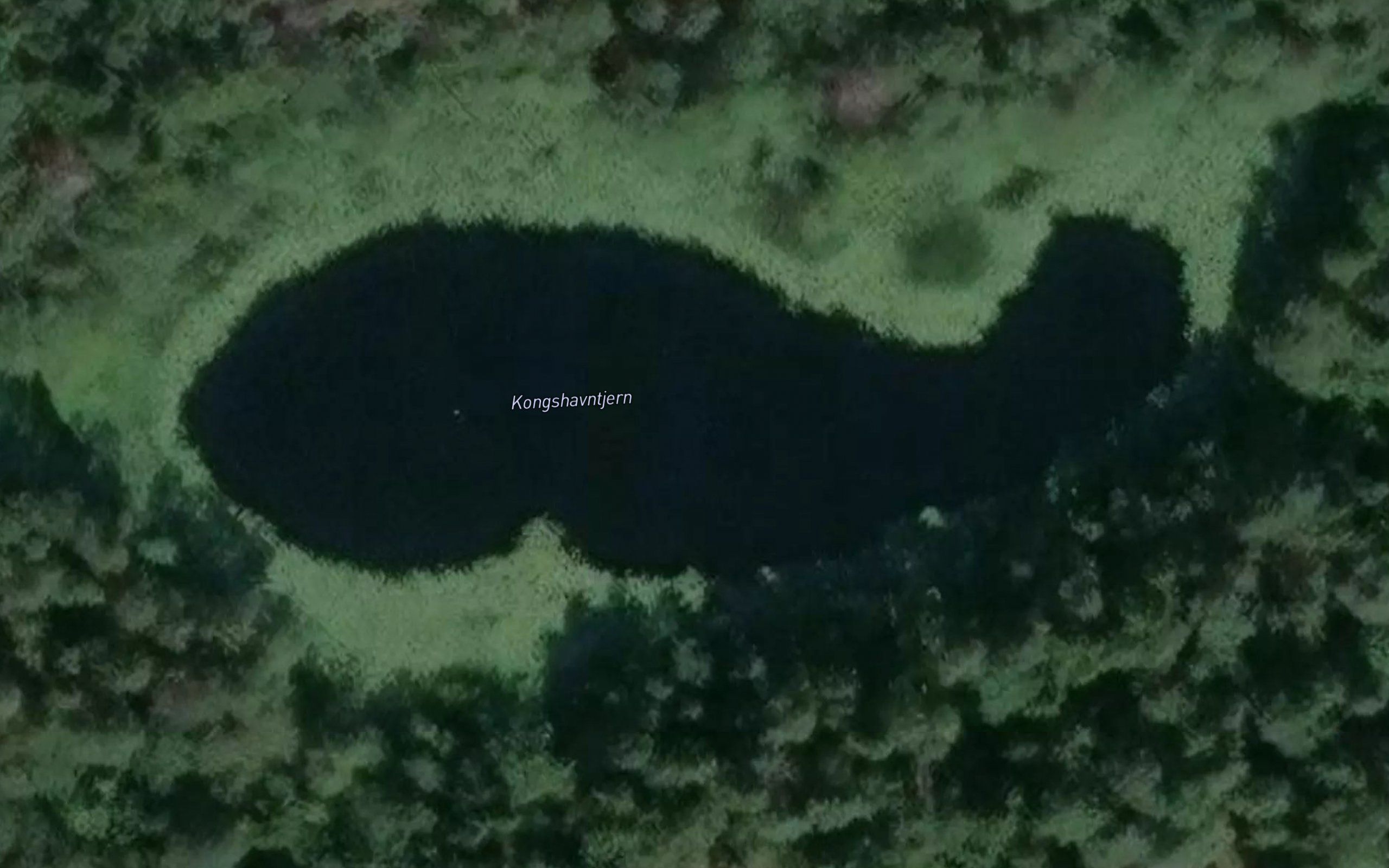 Kongshavntjern