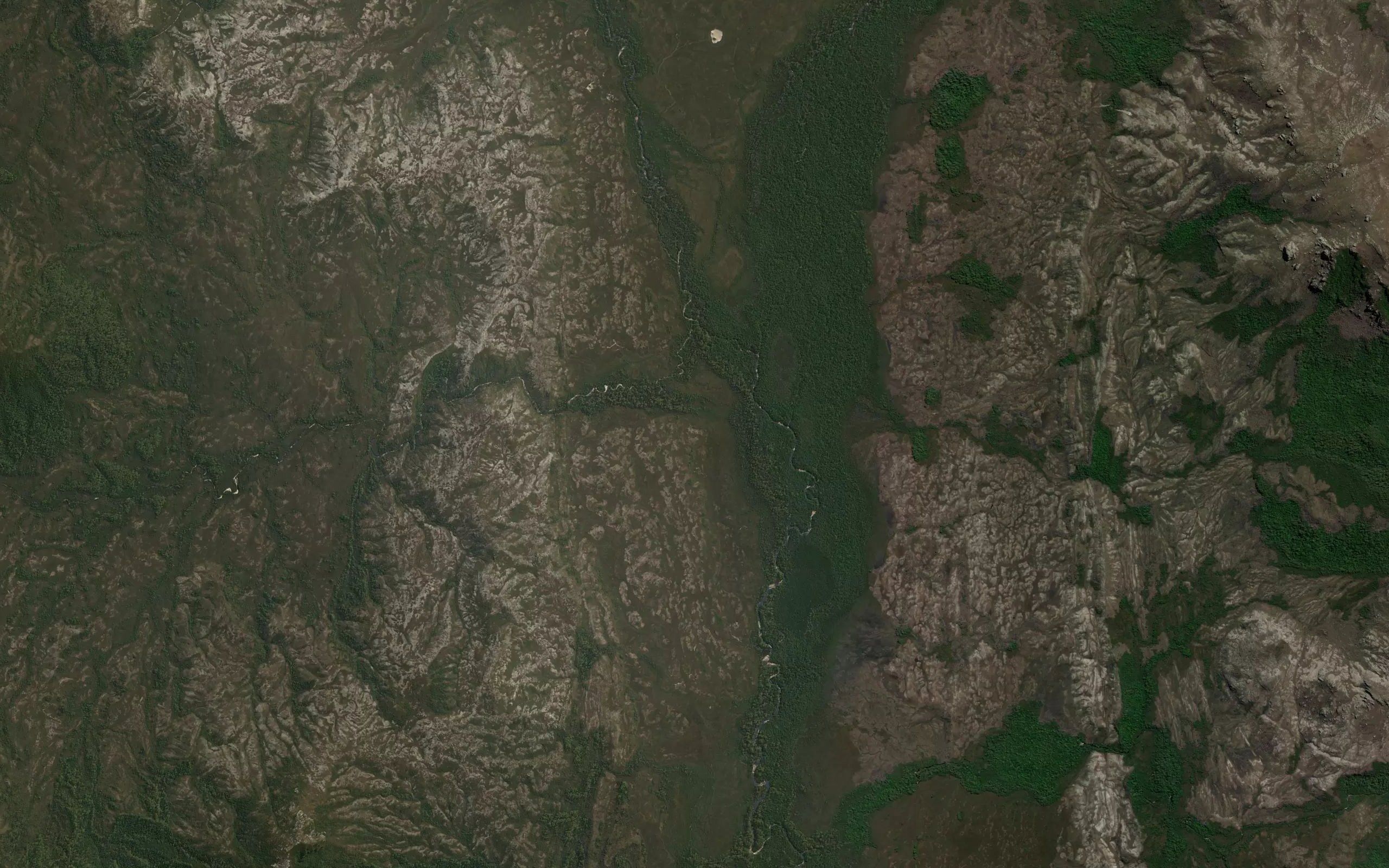 Hardwood Creek