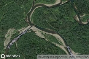 King Salmon River