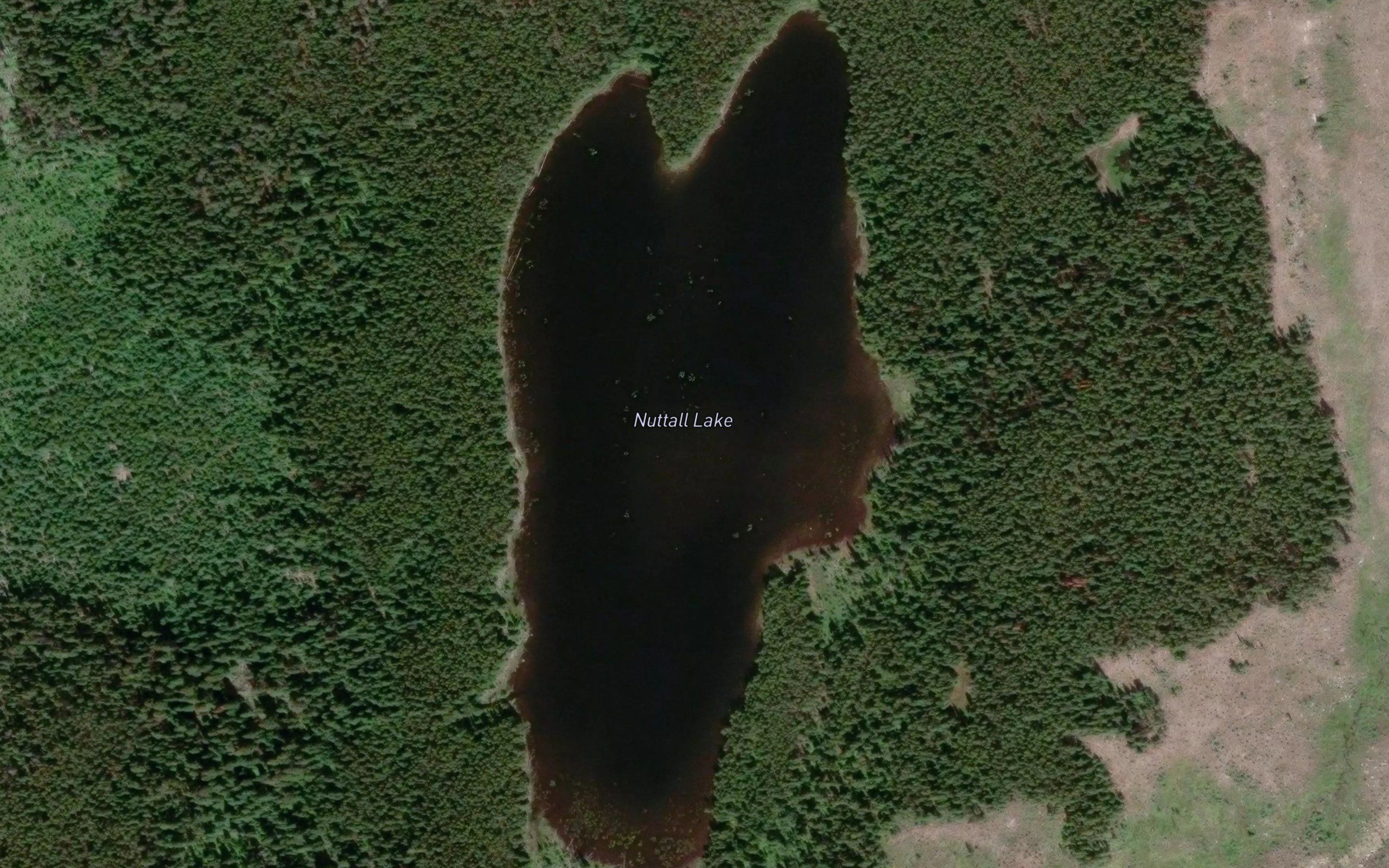 Nuttall Lake