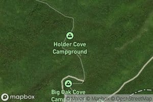 Holder Cove Branch