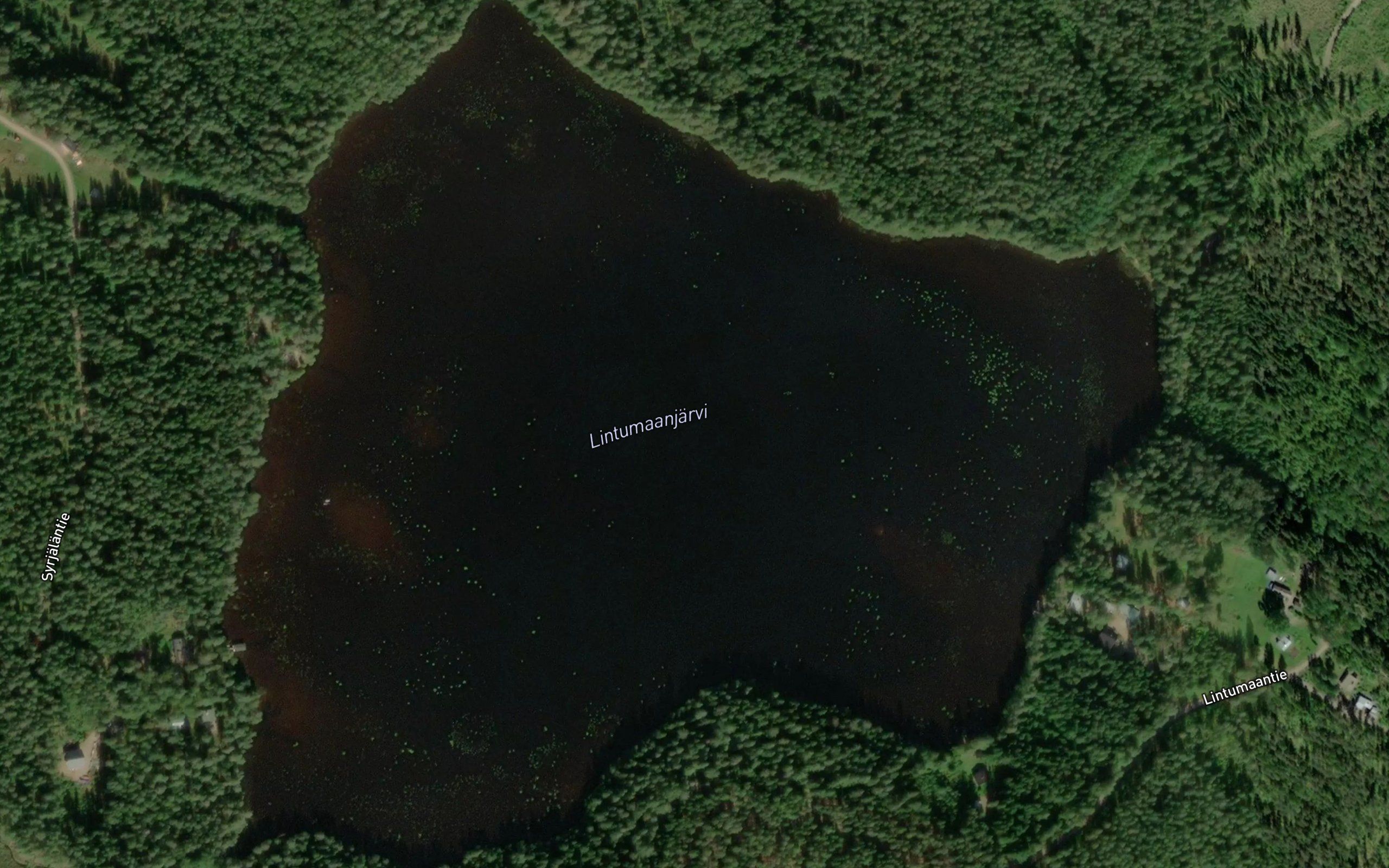 Lintumaanjarvi