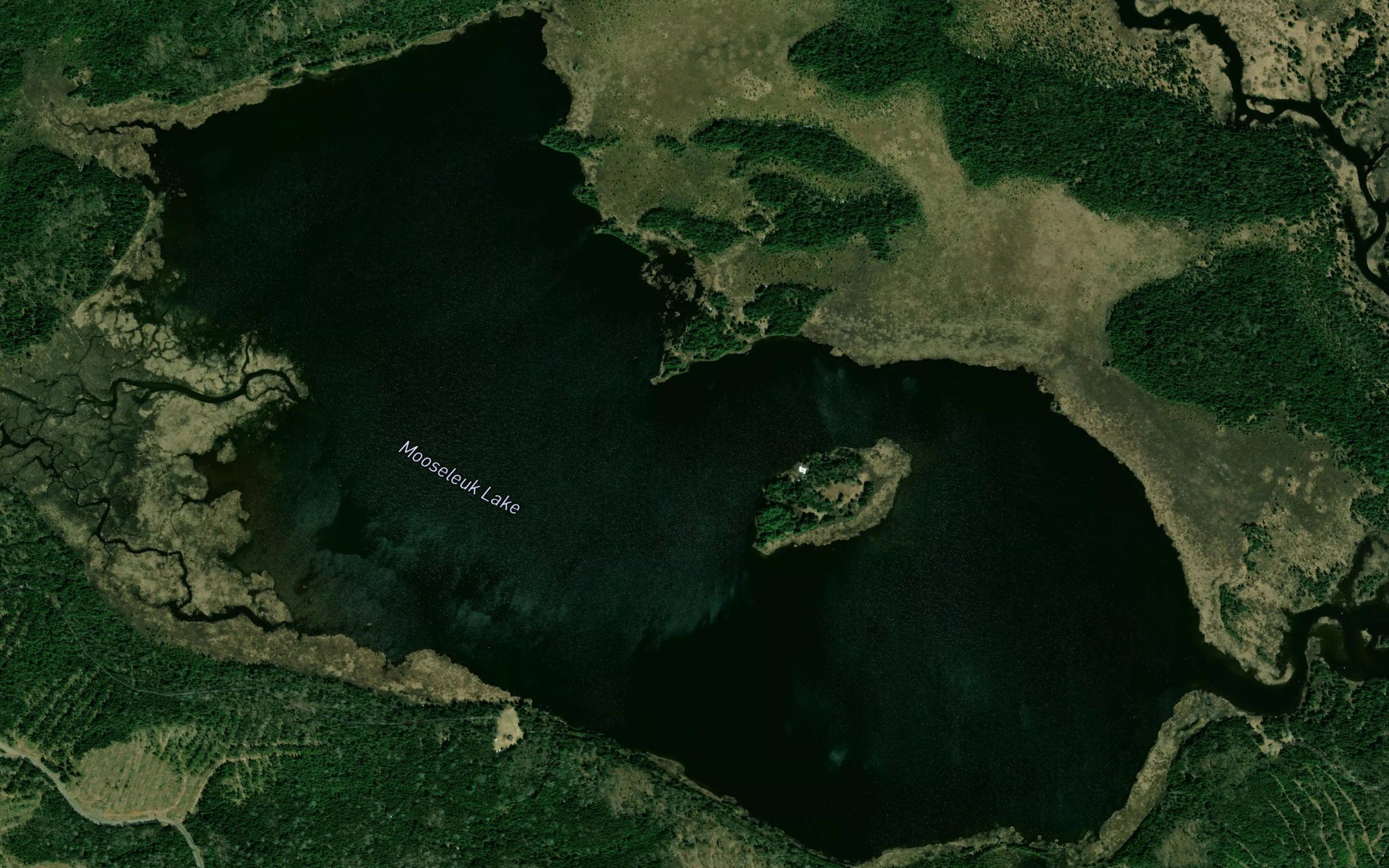 Mooseleuk Lake