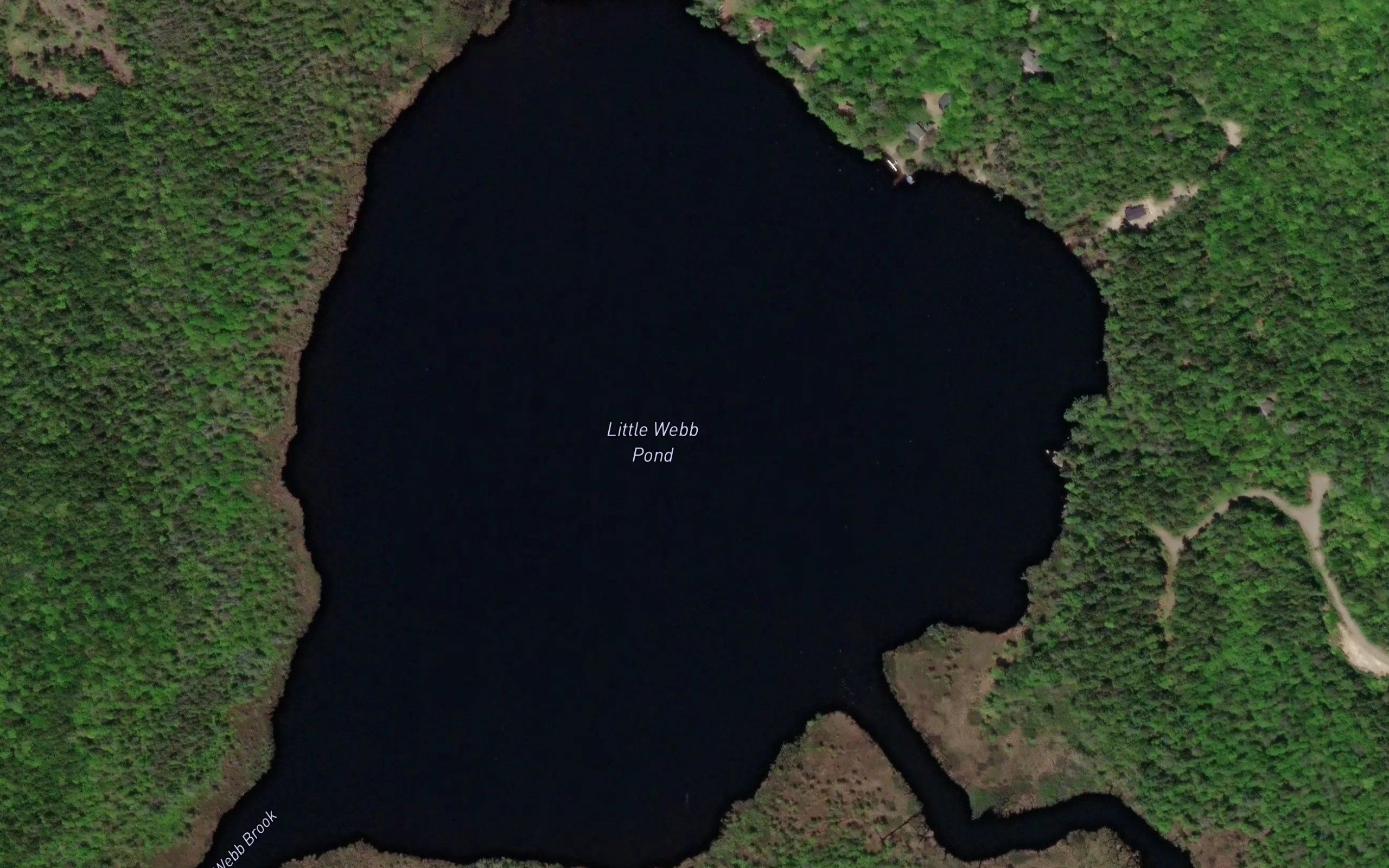 Little Webb Pond