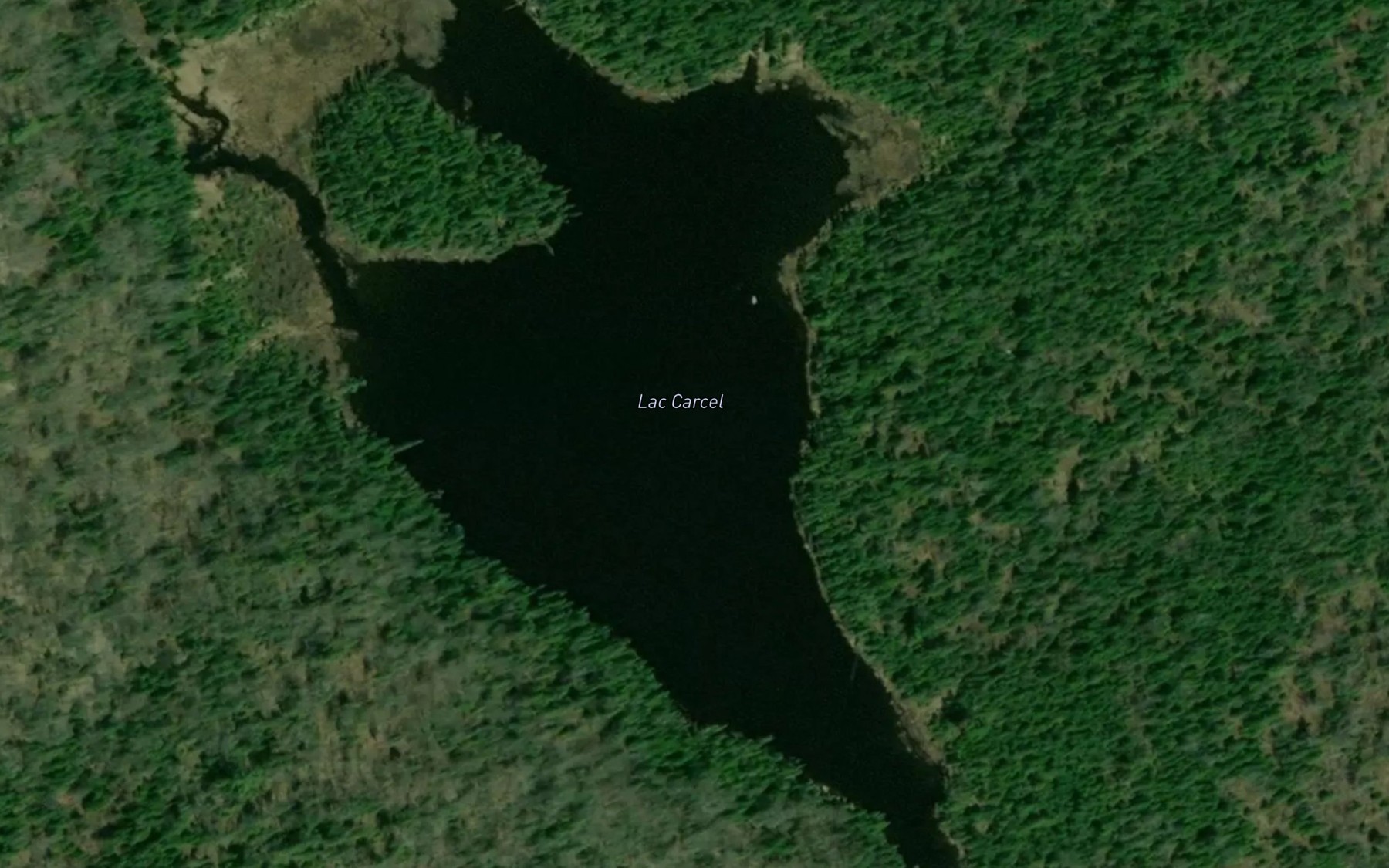 Satellite map of the Lac Carcel