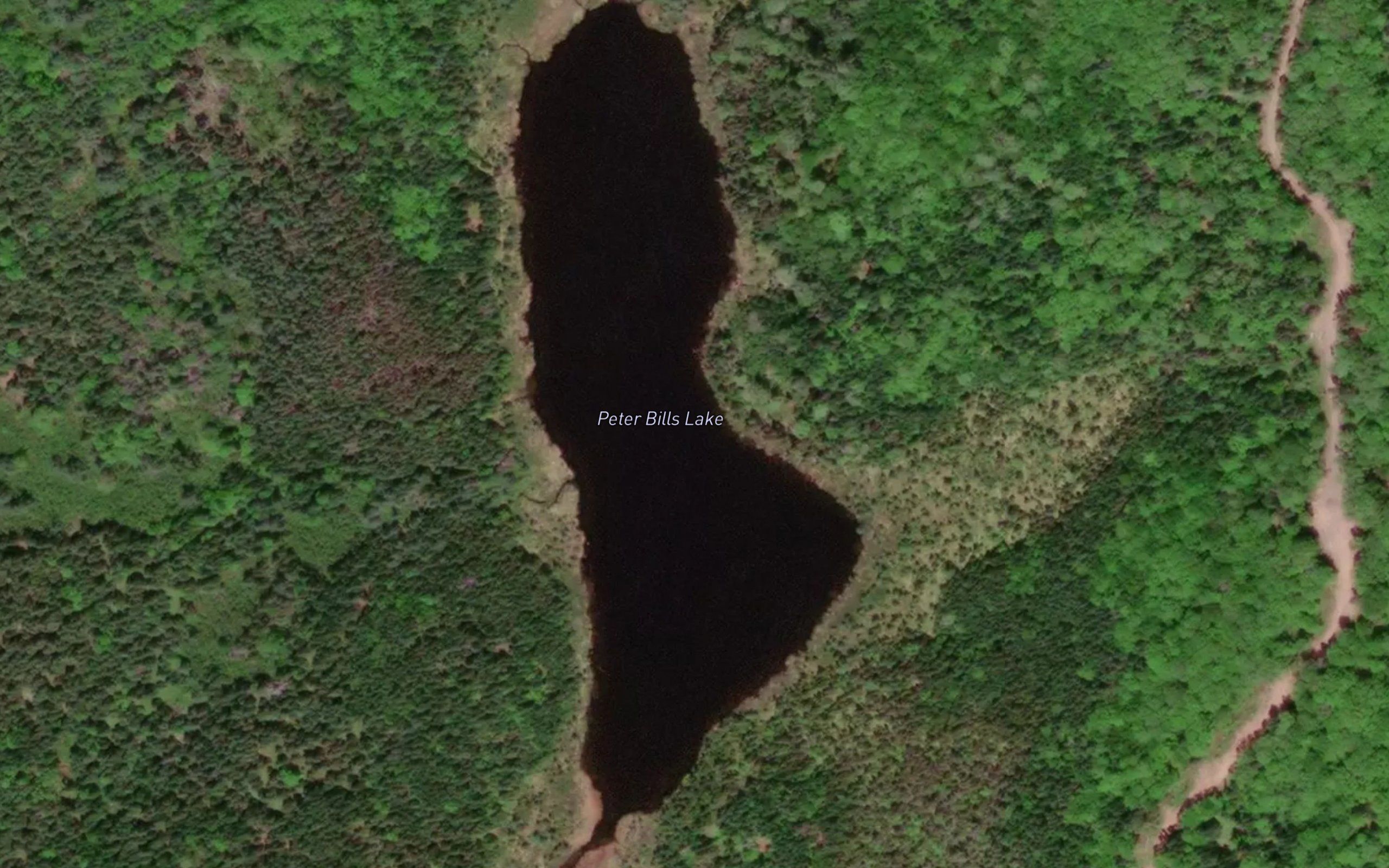 Peter Bills Lake