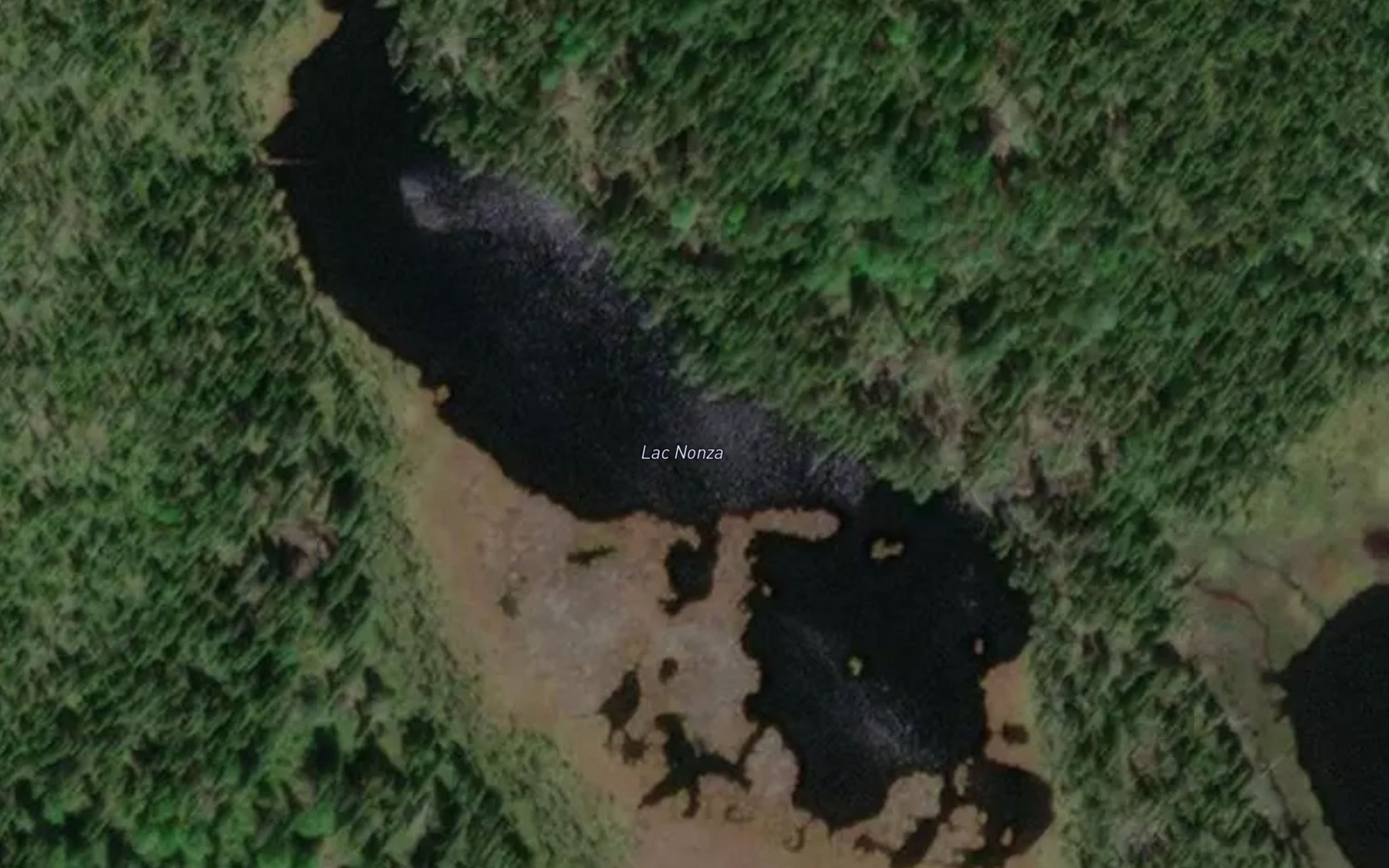 Satellite map of the Lac Nonza