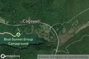 Giant Canada Goose Pond