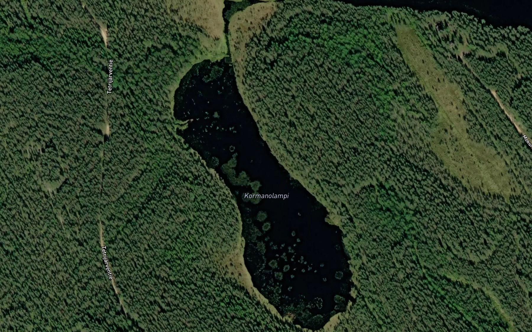 Satellite map of the Kormanolampi