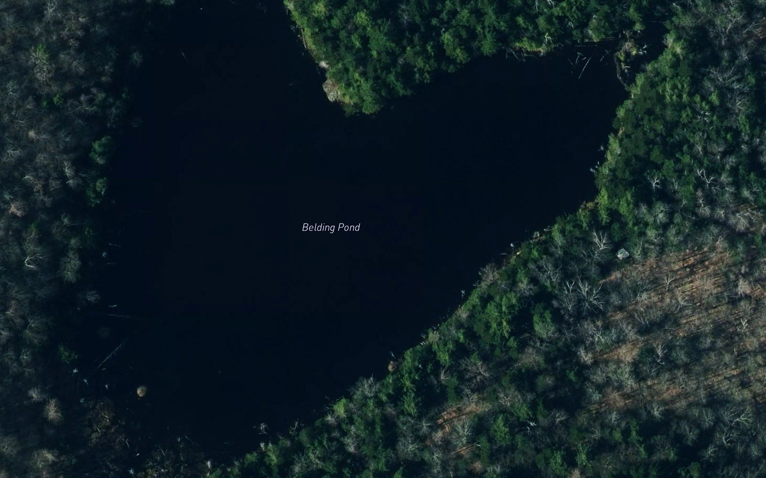 Belding Pond