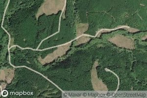 Mud Fork