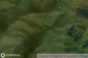 Thunderstruck Branch