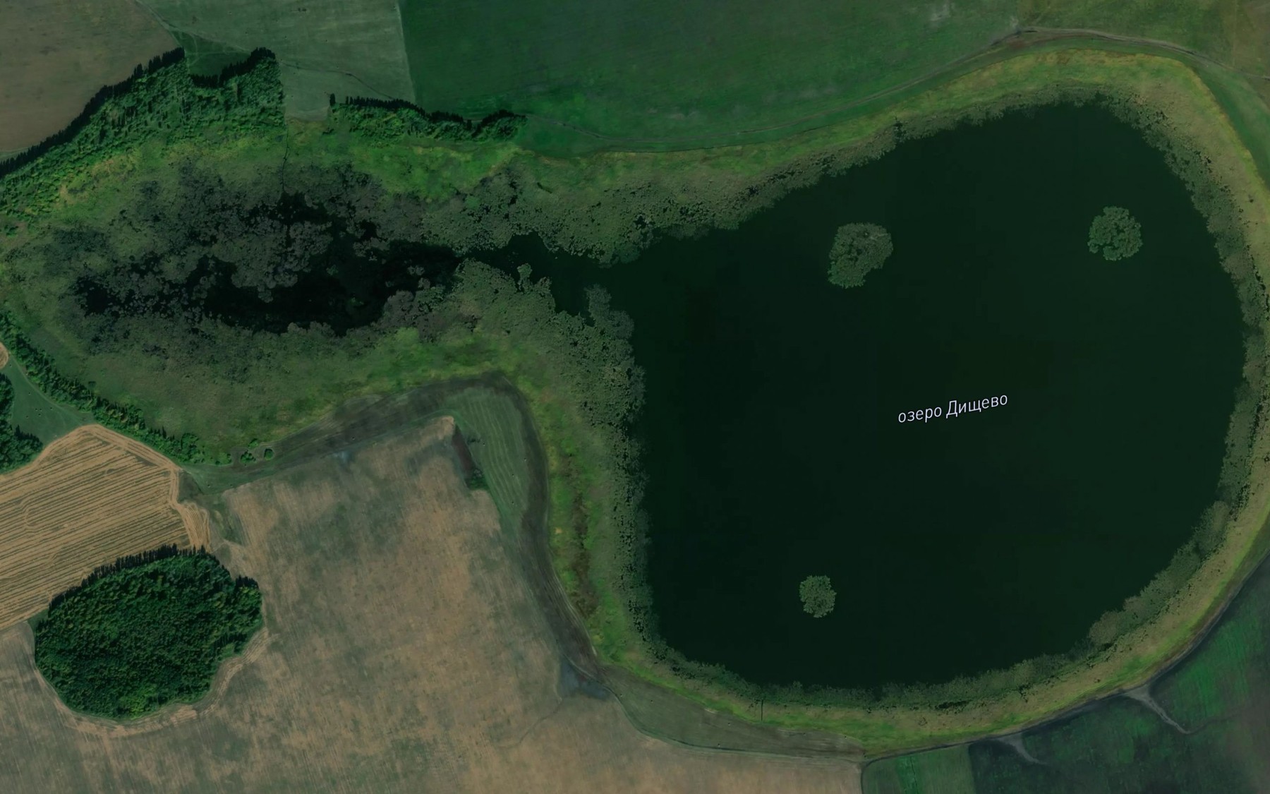 Satellite map of the Ozero Dishchevo