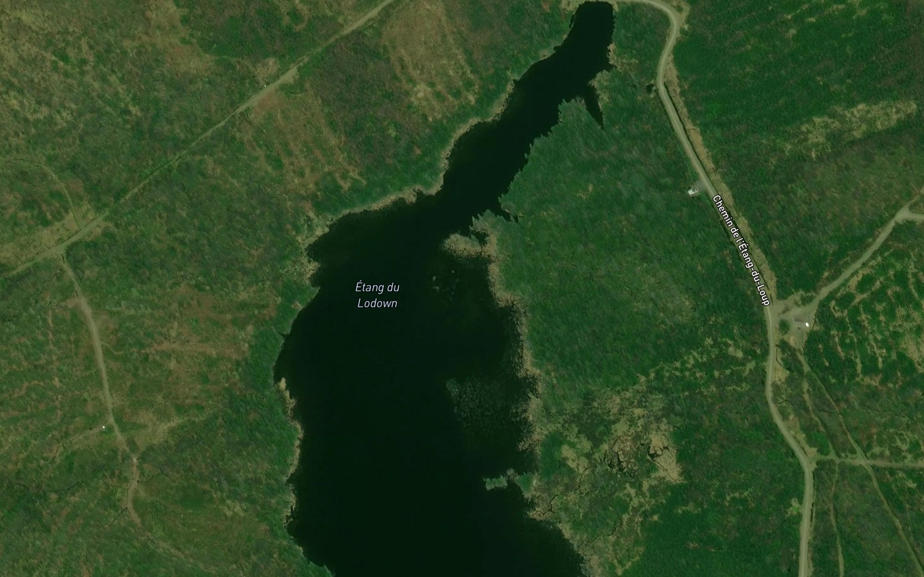Satellite map of the Etang du Loup