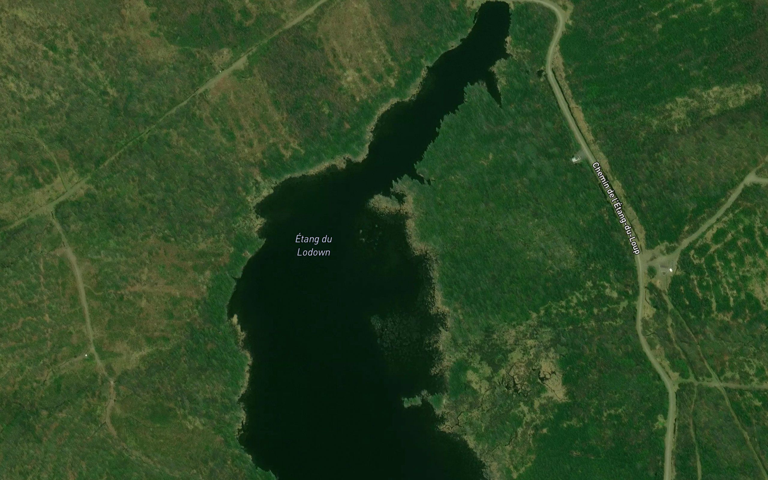 Etang du Loup