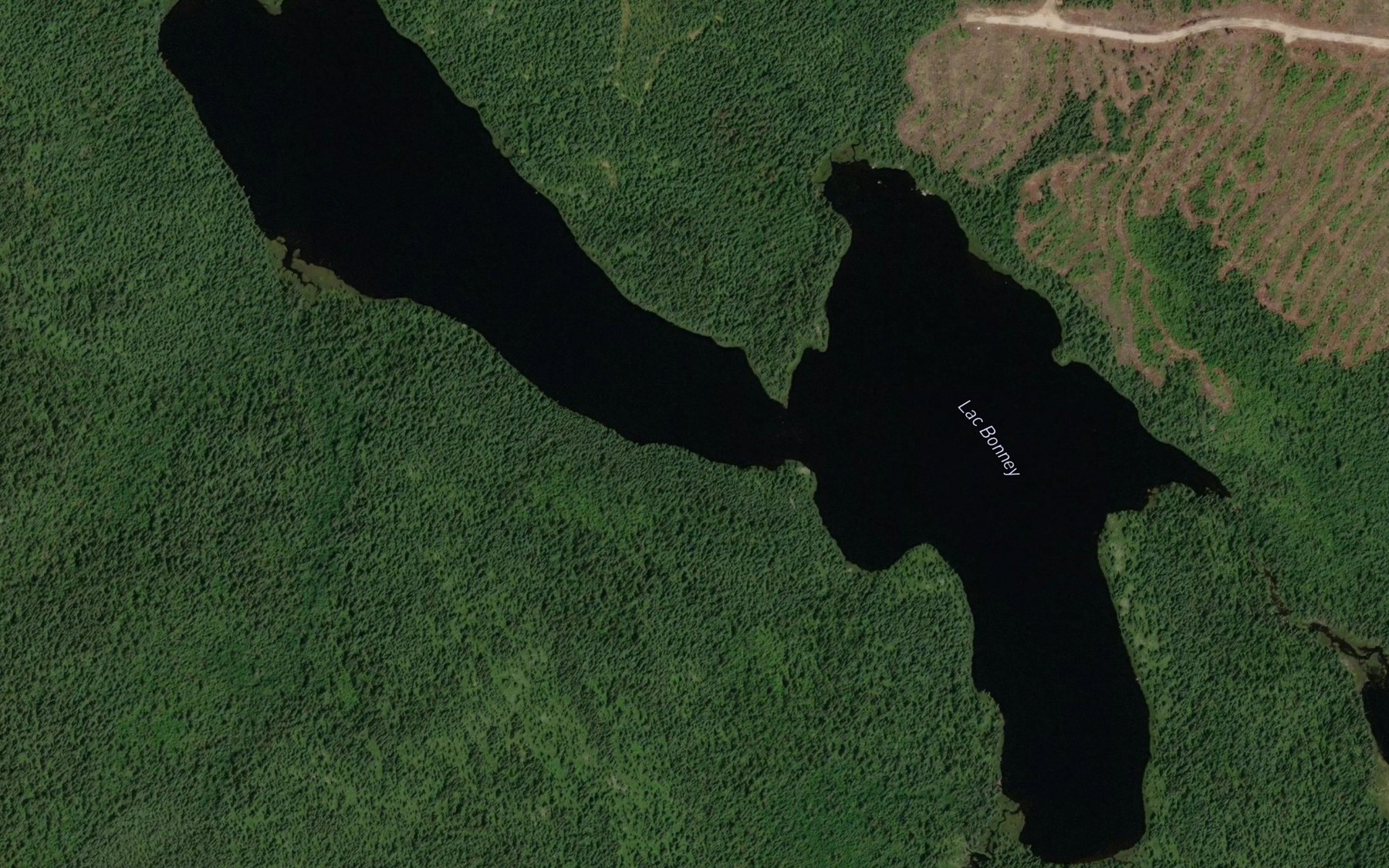 Satellite map of the Lac Bonney