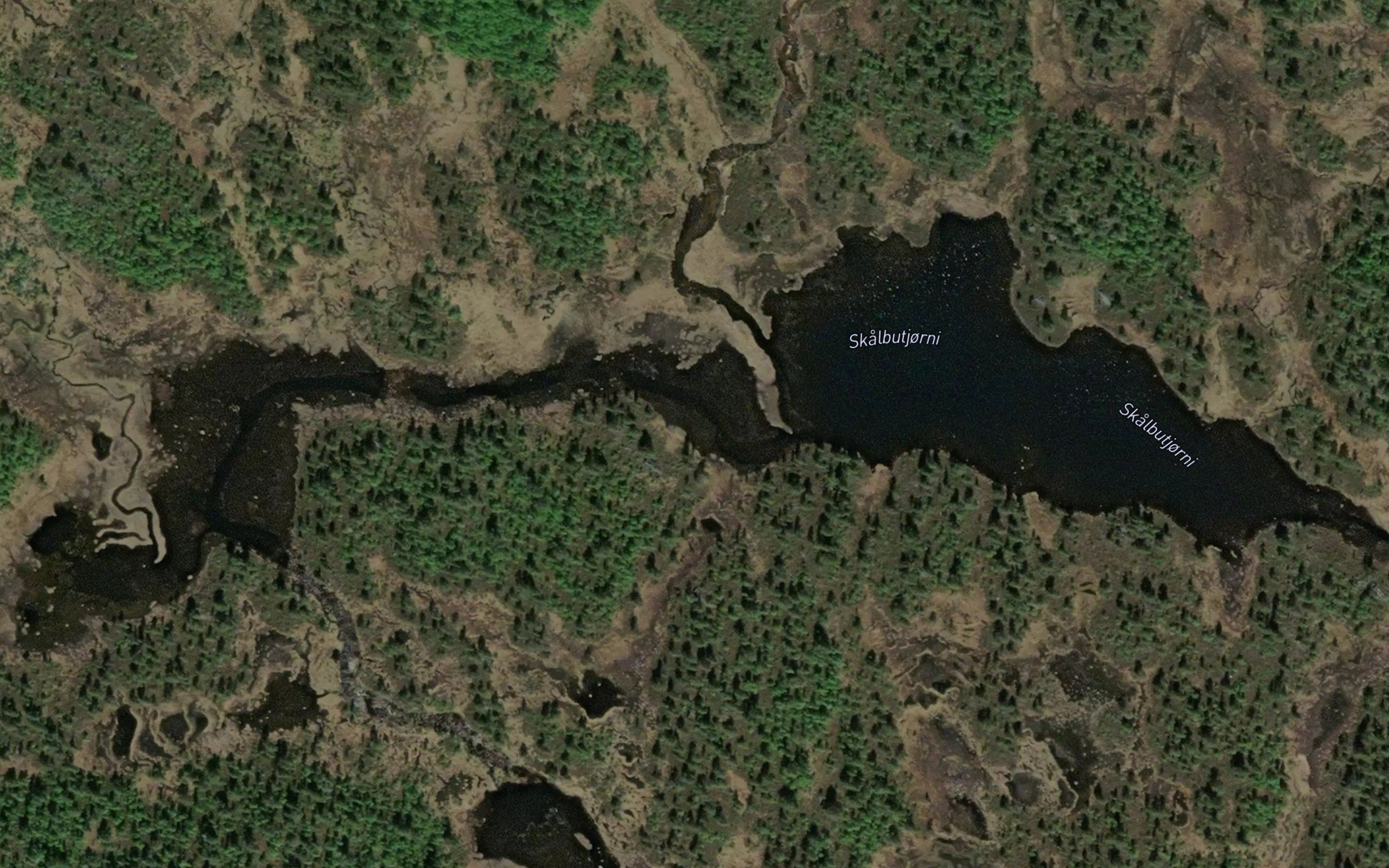 Skalbutjorn