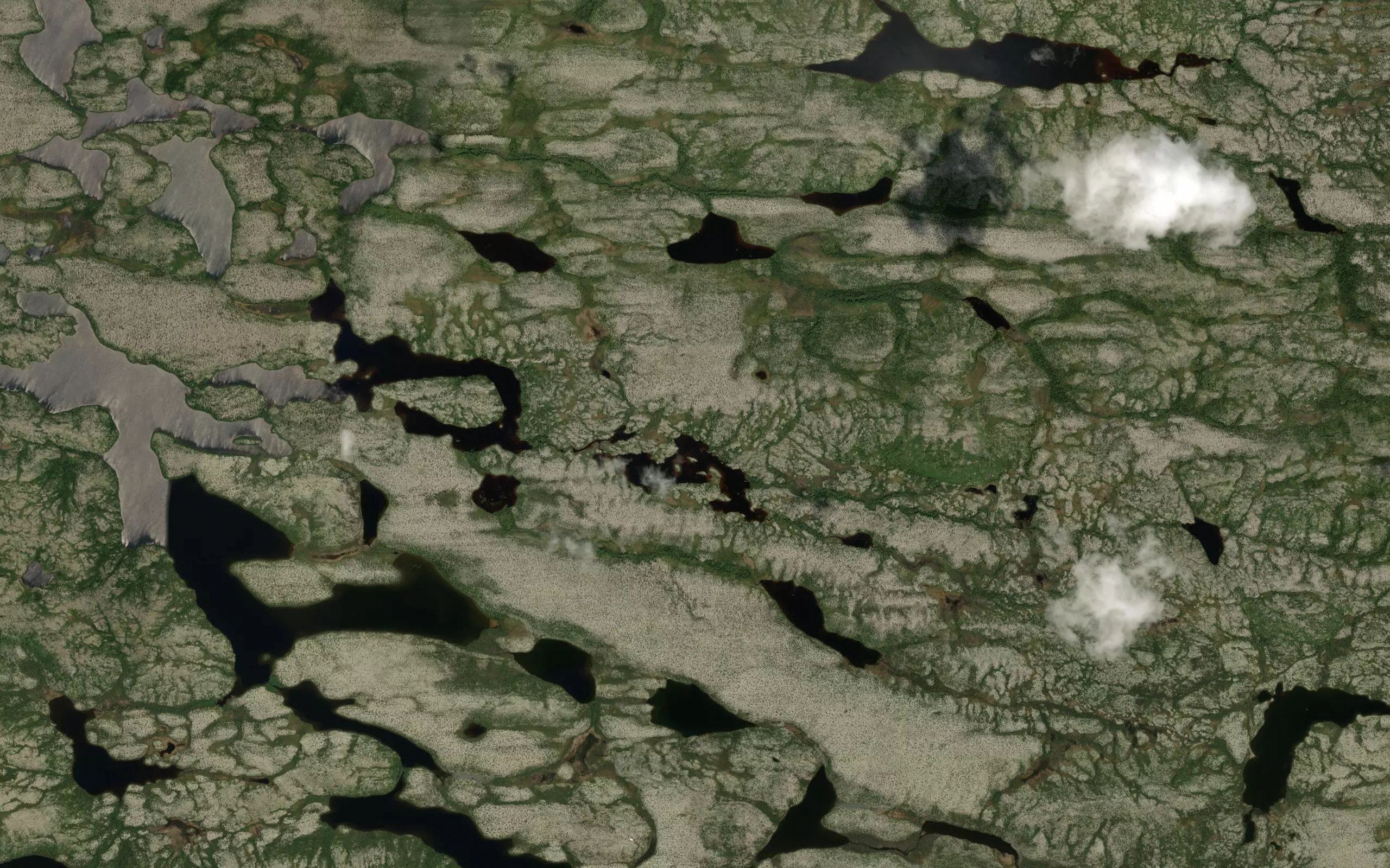 Lac Iyicas