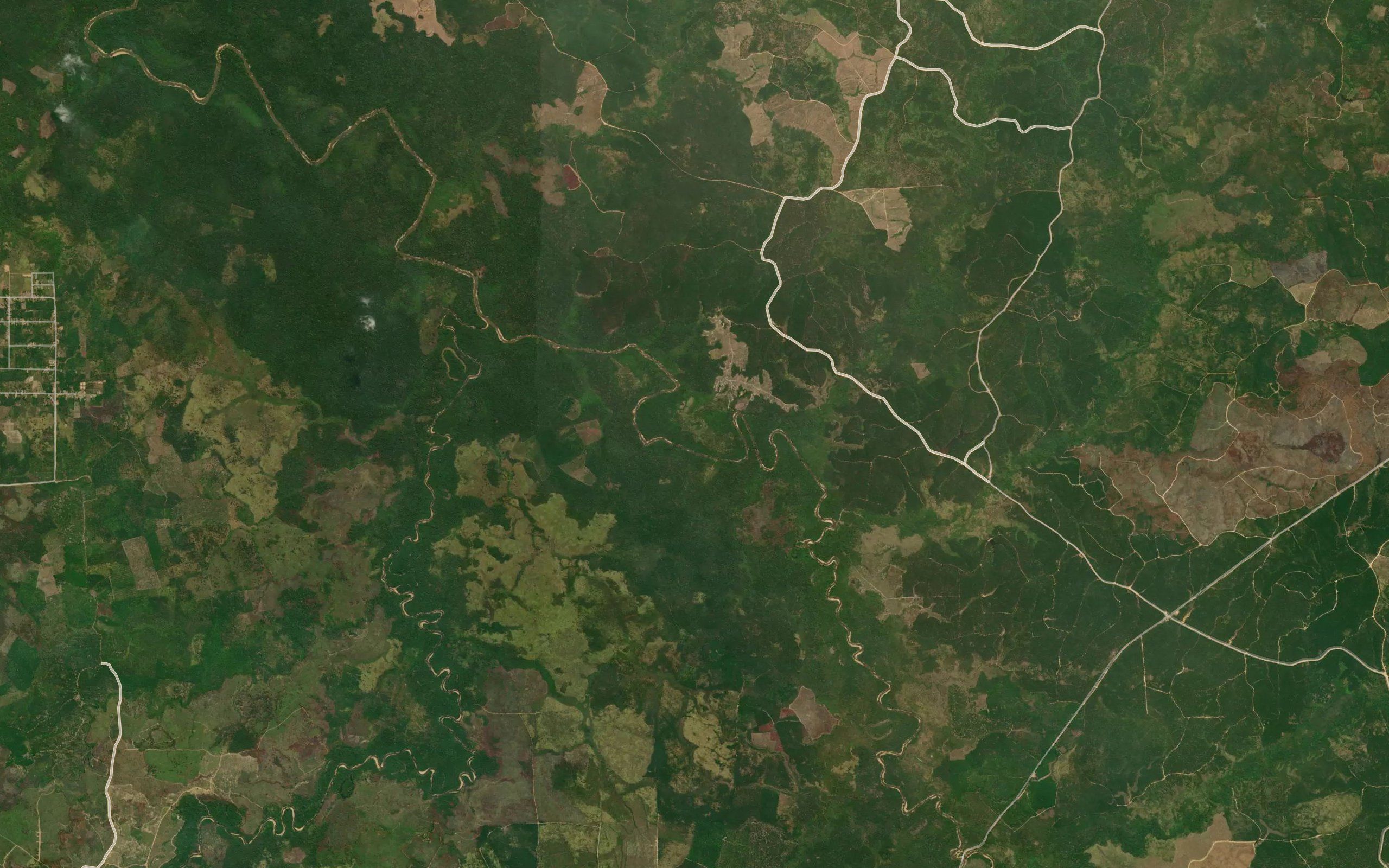 Sungai Sialang