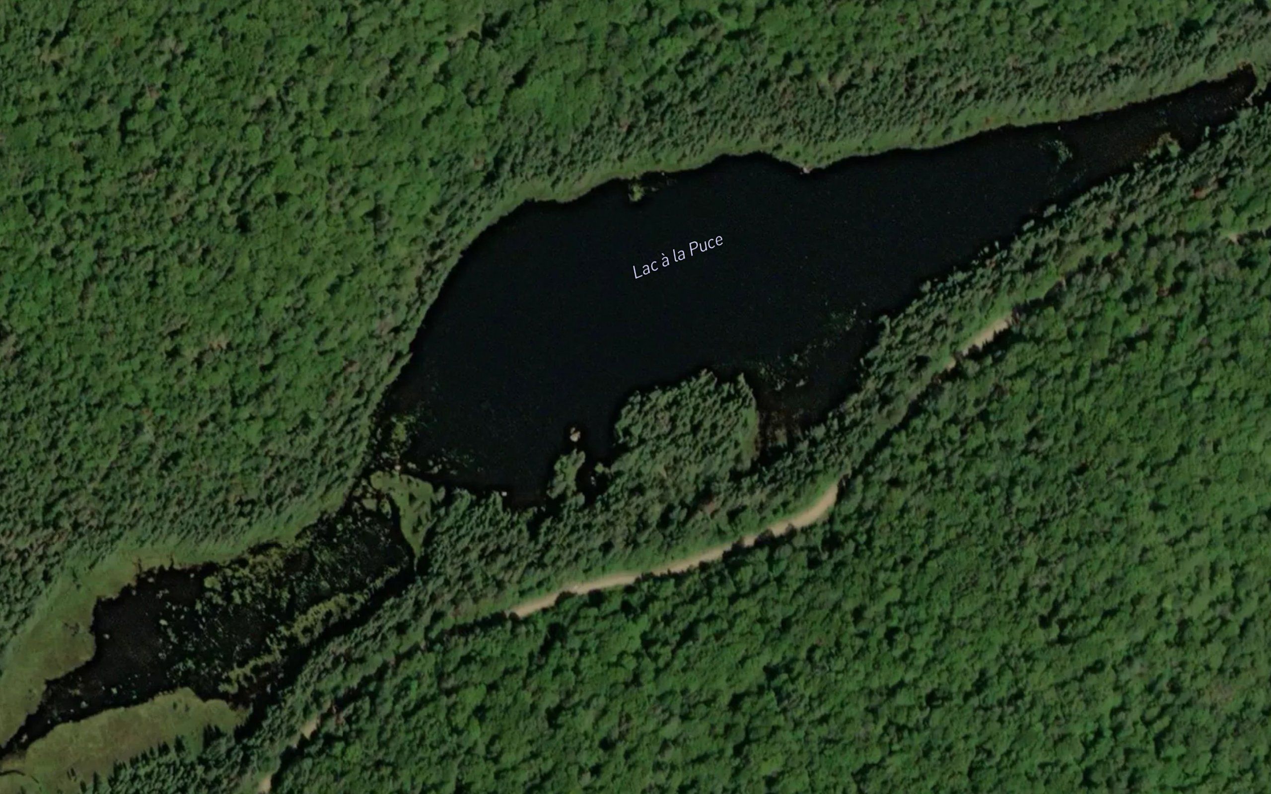 Lac a la Puce