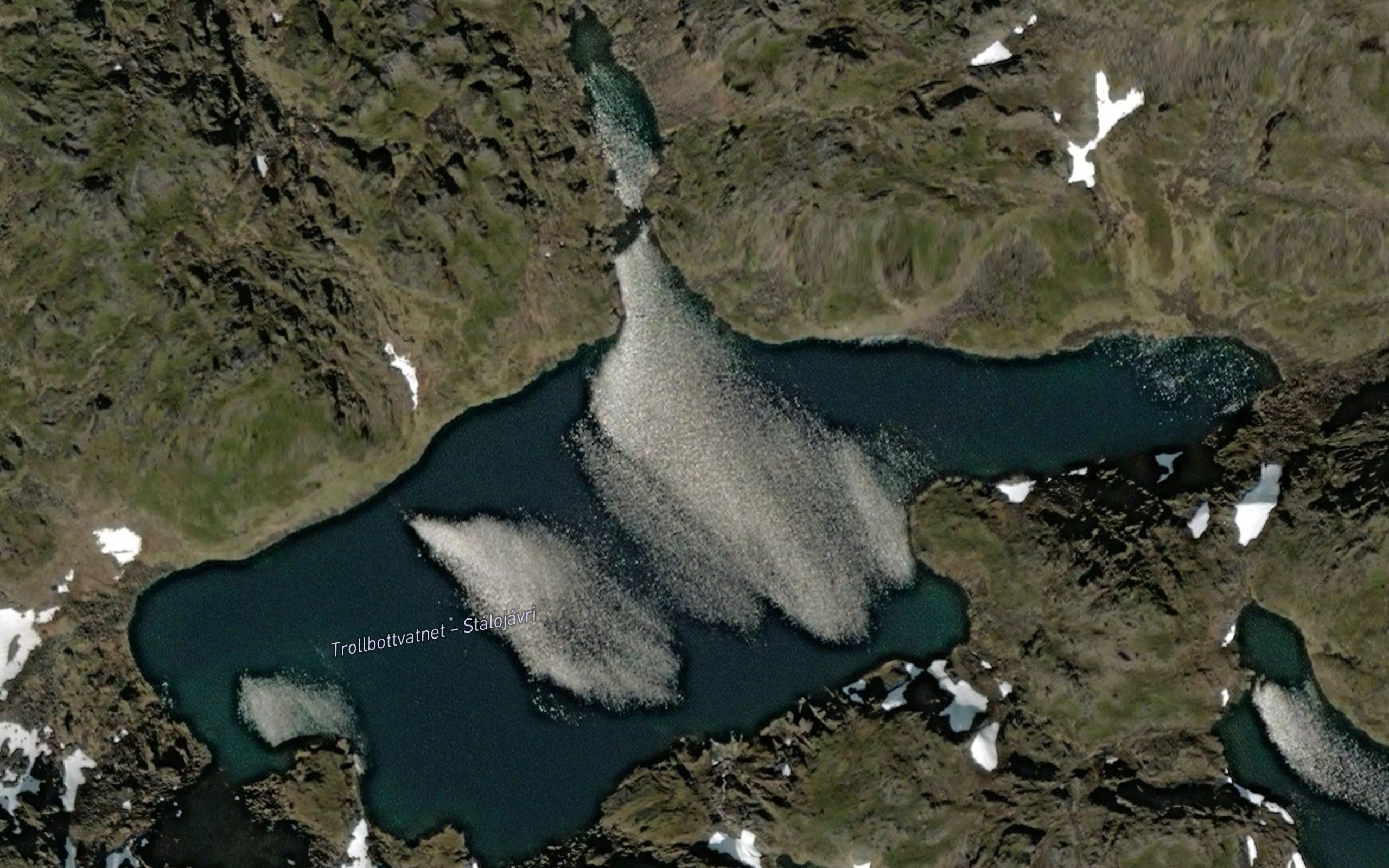 Stalujavri