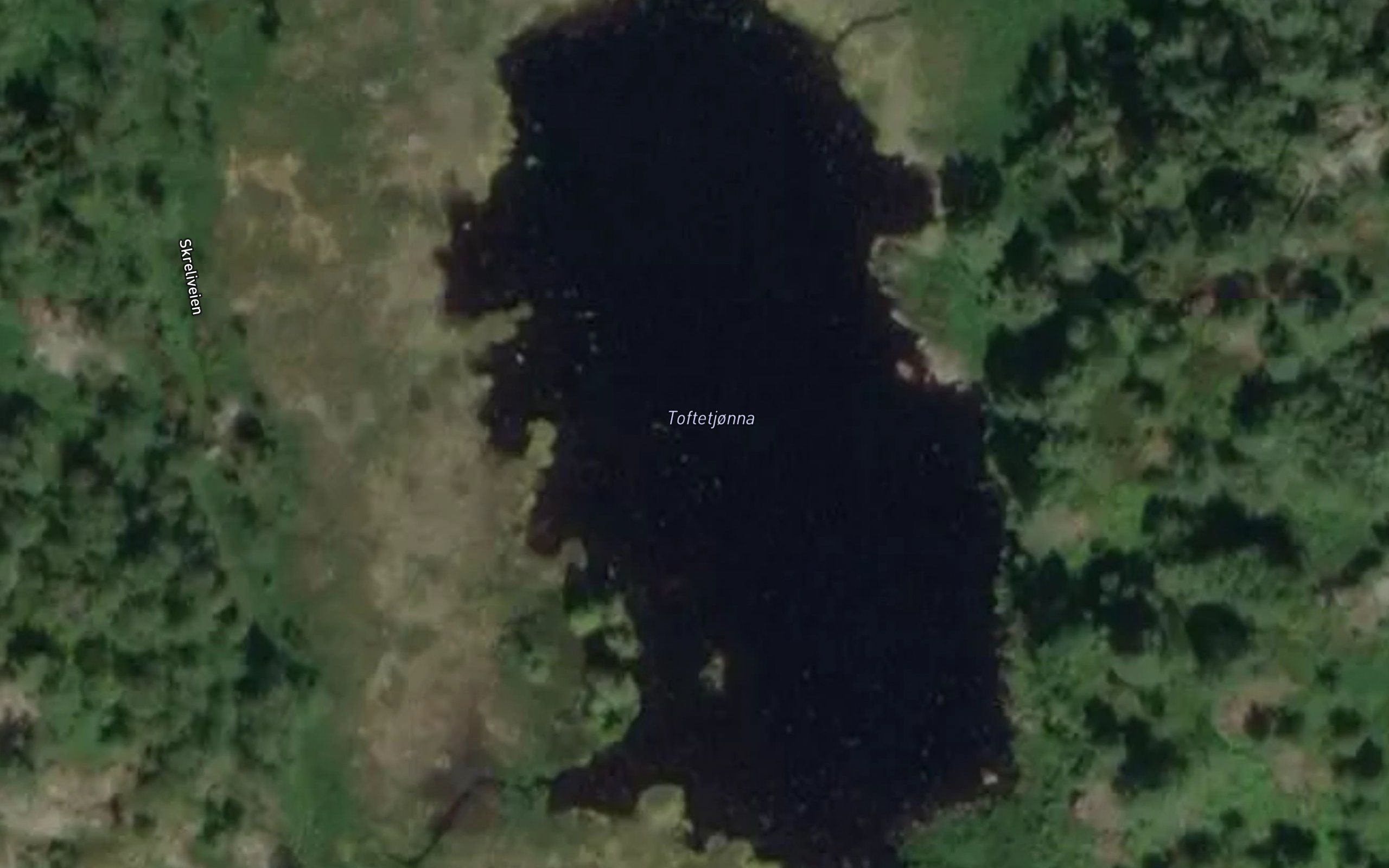 Toftetjonna