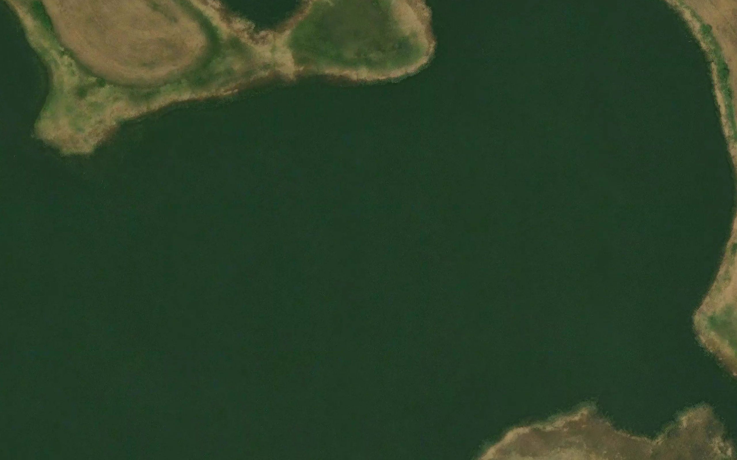 Lake Alfred