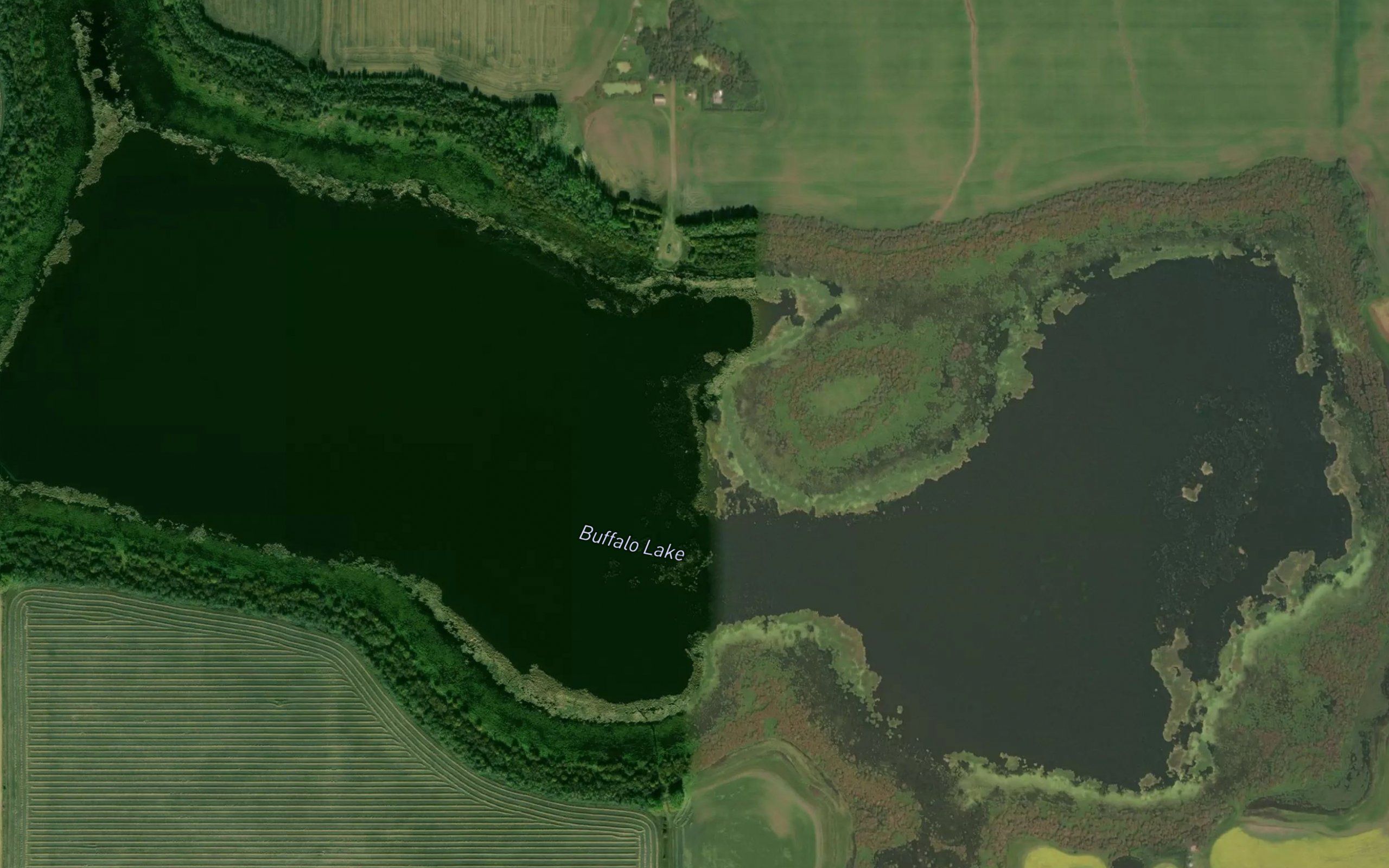 Buffalo Lake