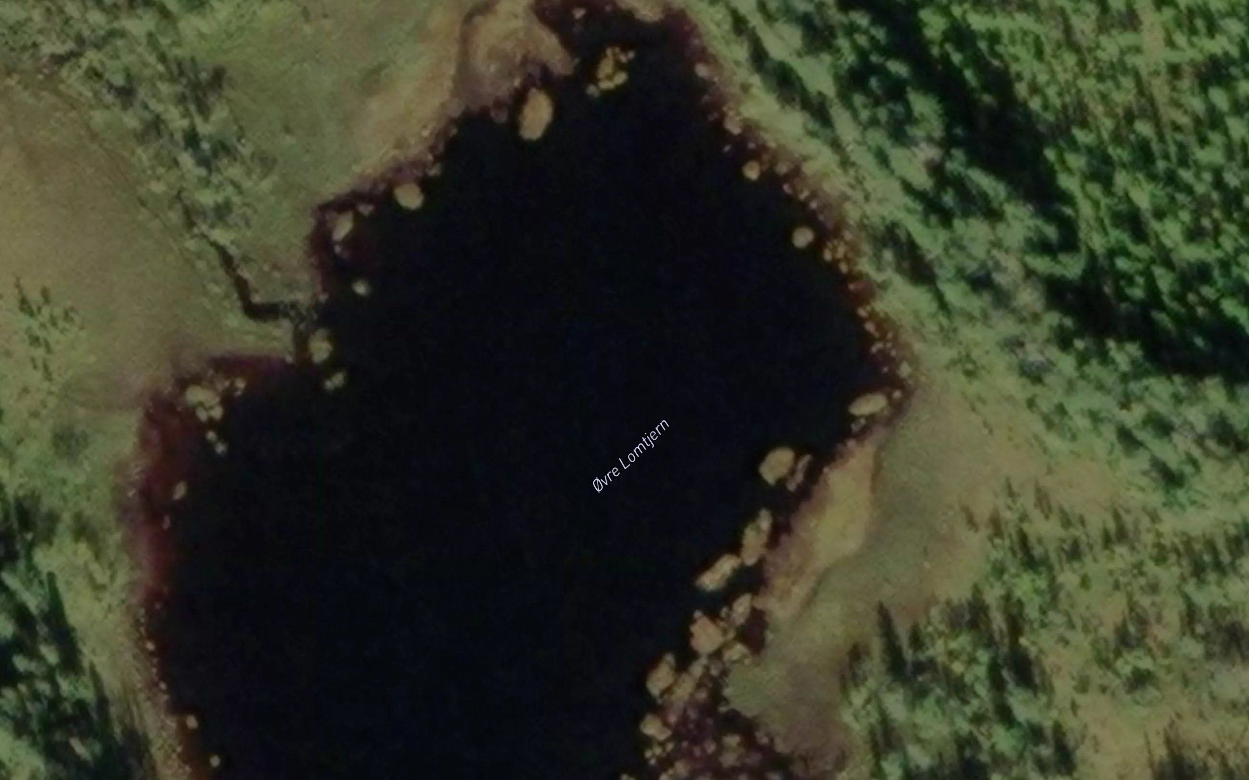 Ovre Lomtjern