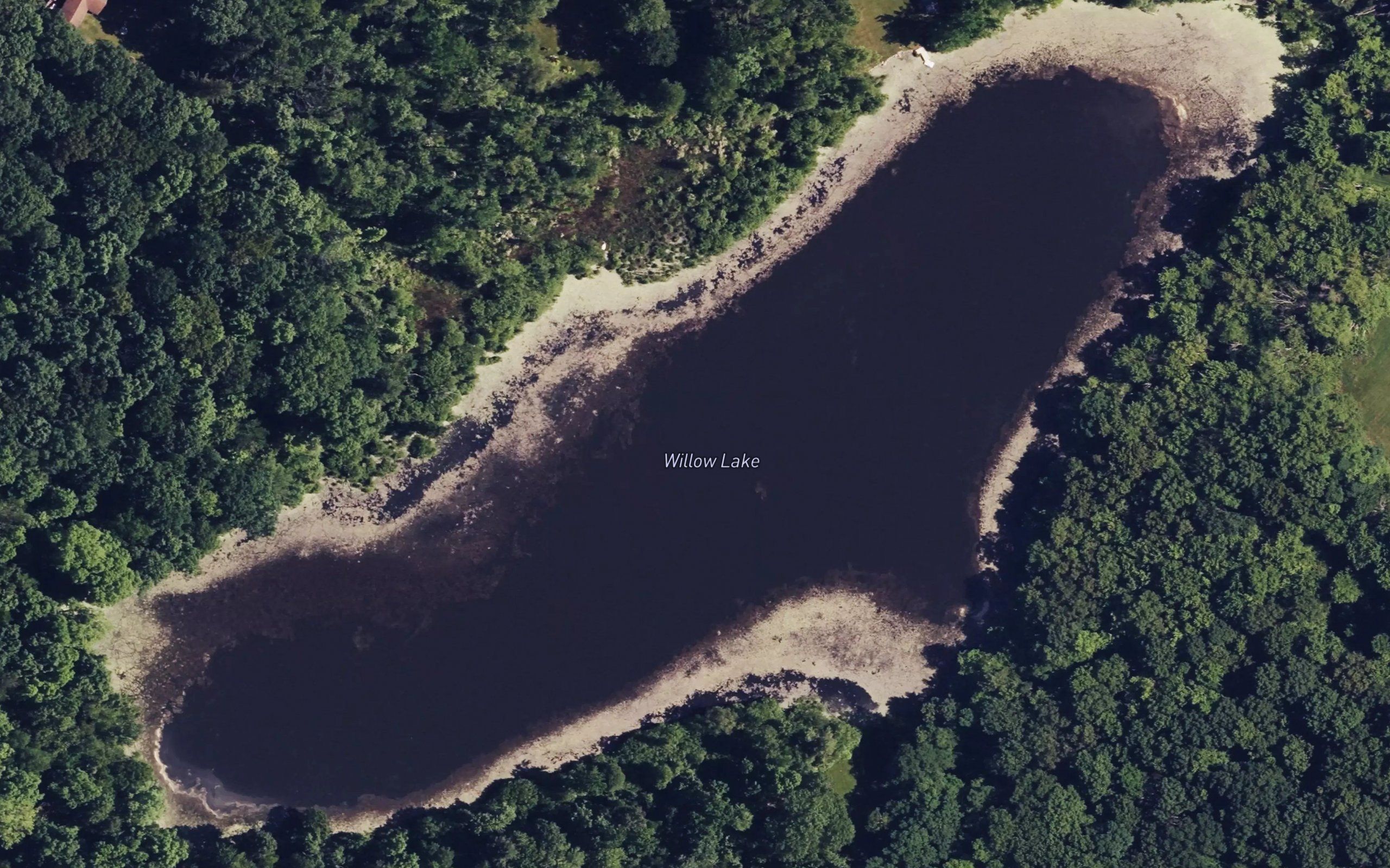 Willow Lake
