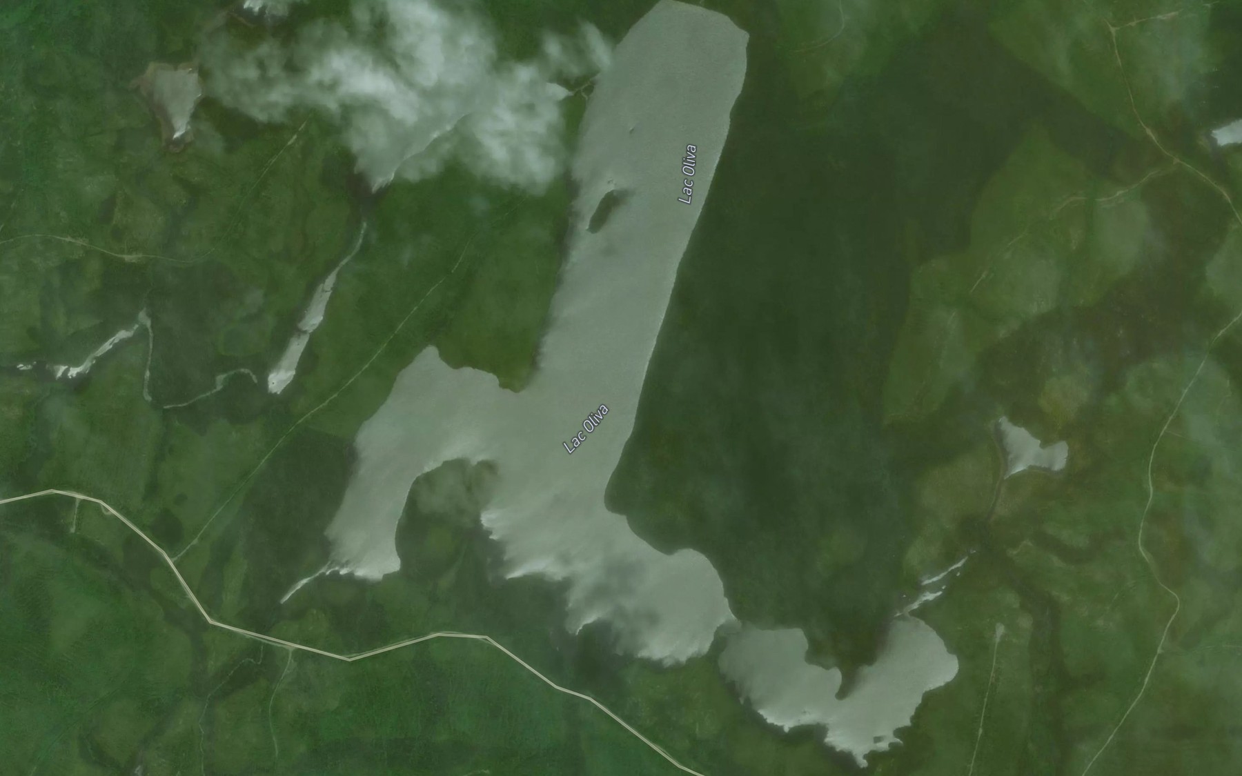 Satellite map of the Lac Oliva